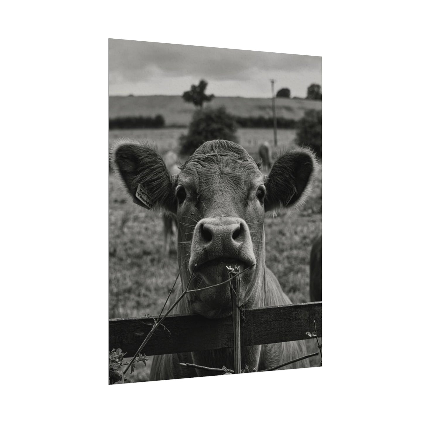 Rise & Shine – Western Textured Watercolor Matte Posters