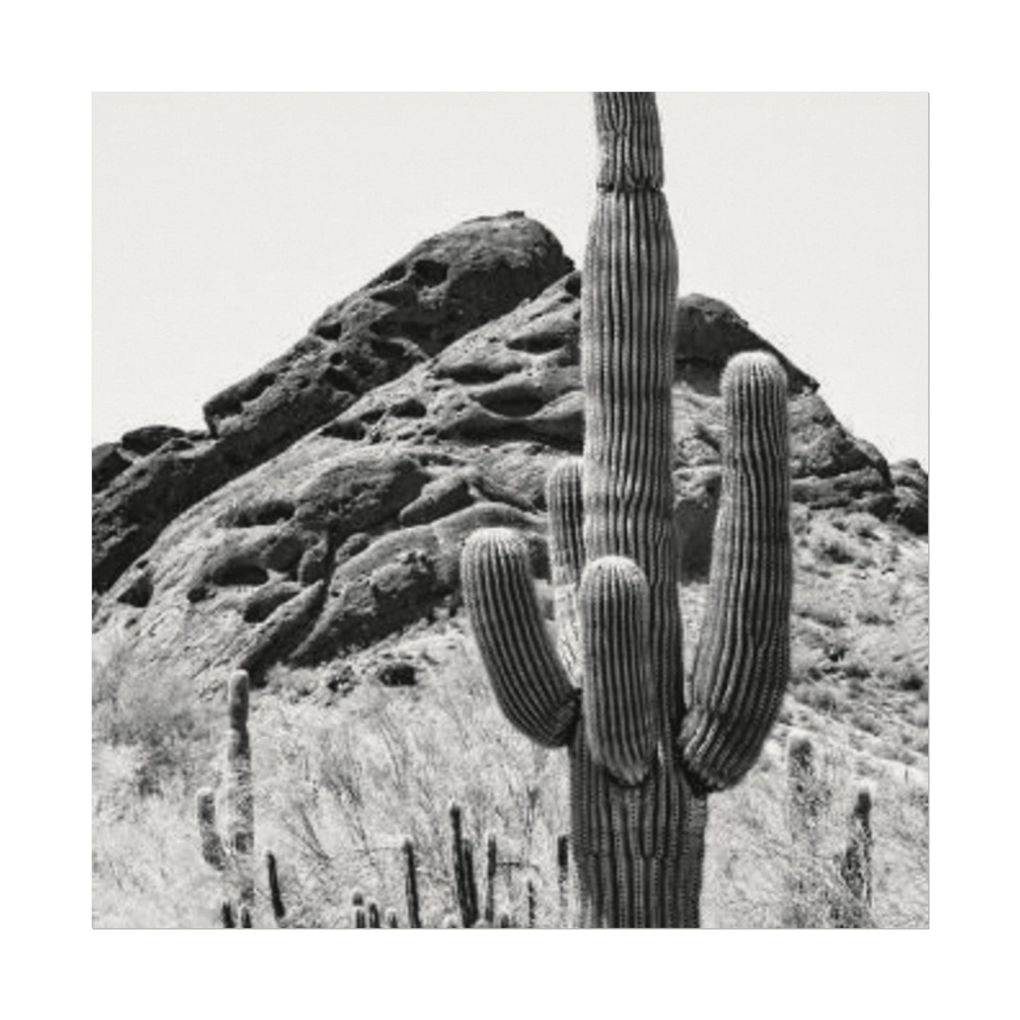 Reach For The Sky – Western Textured Watercolor Matte Posters