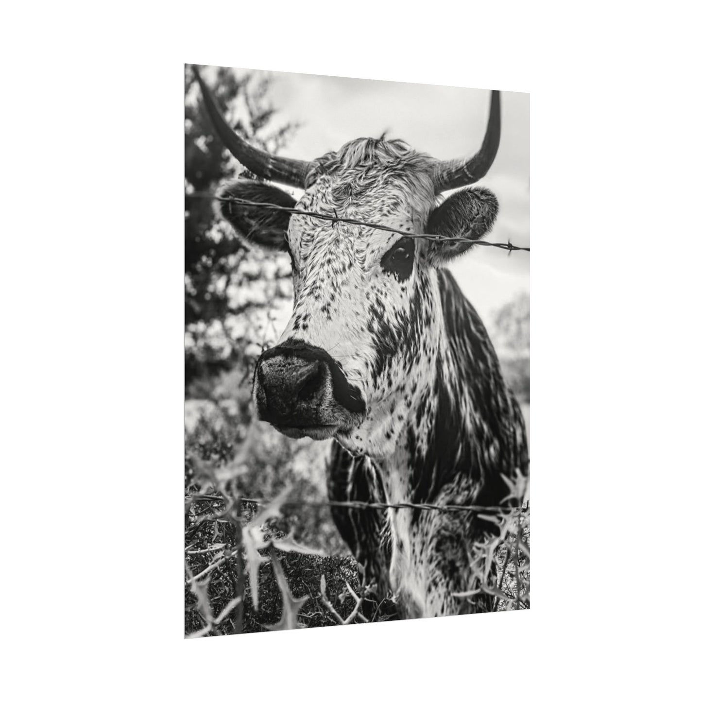 Barbed & Brave Western Textured Watercolor Matte Posters