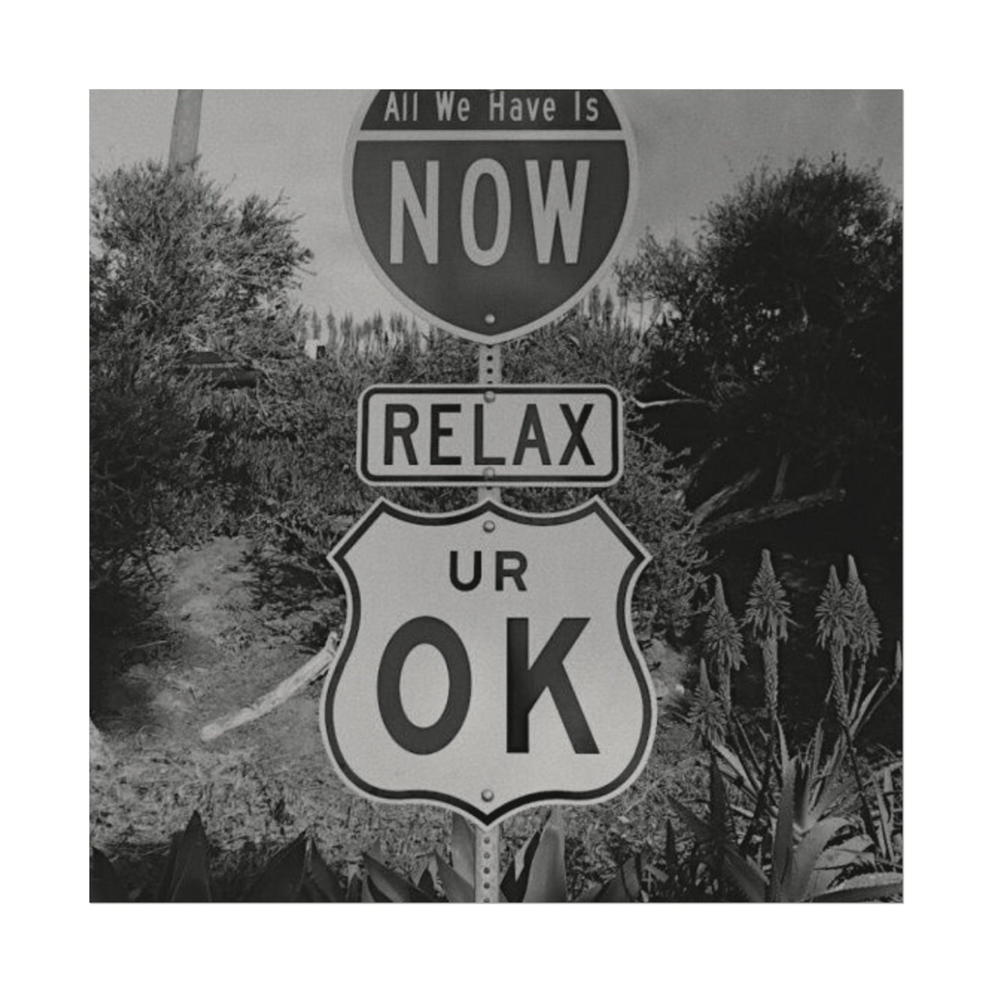 Here's Your Sign Textured Desert Watercolor Matte Posters