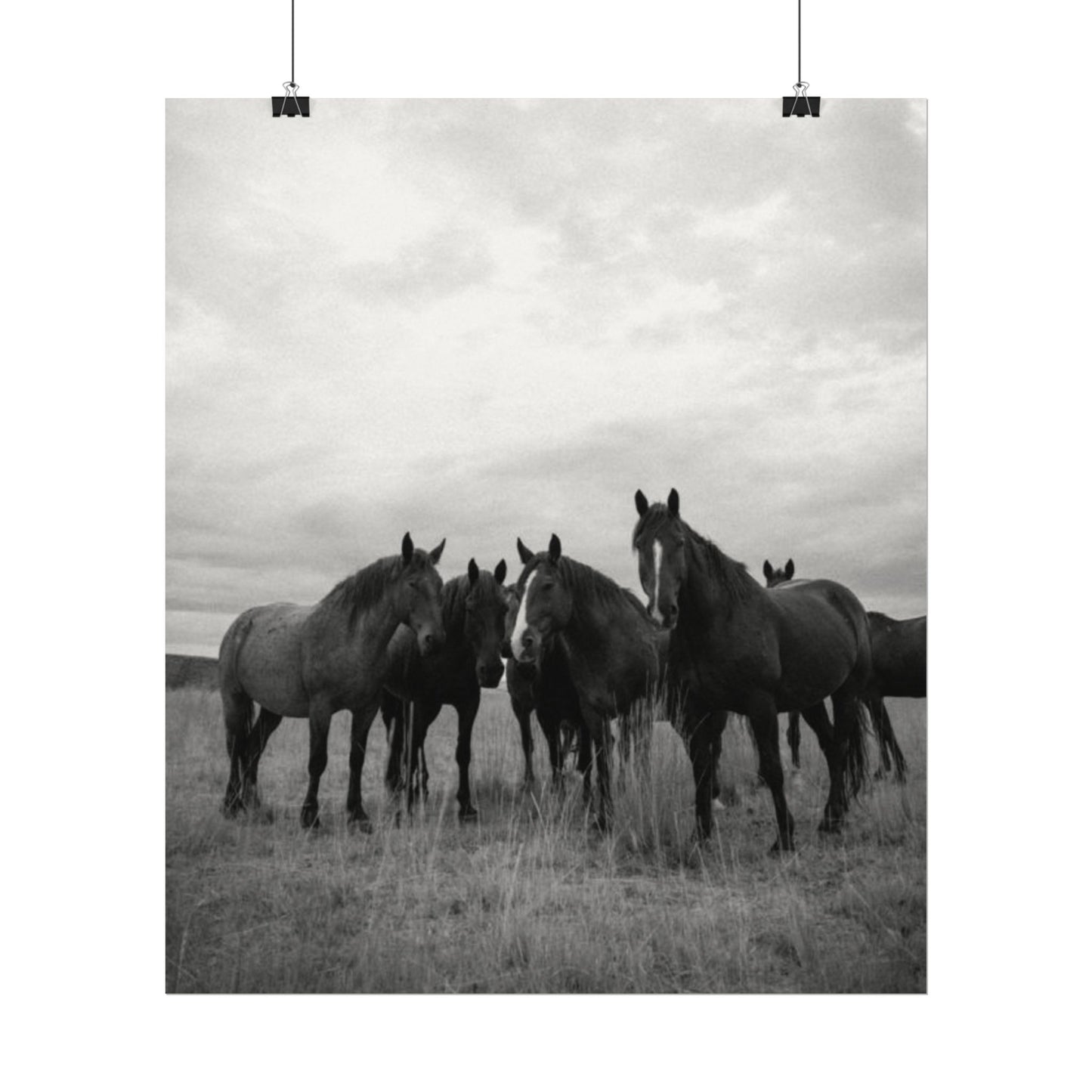 Unity In Numbers – Western Textured Watercolor Matte Posters