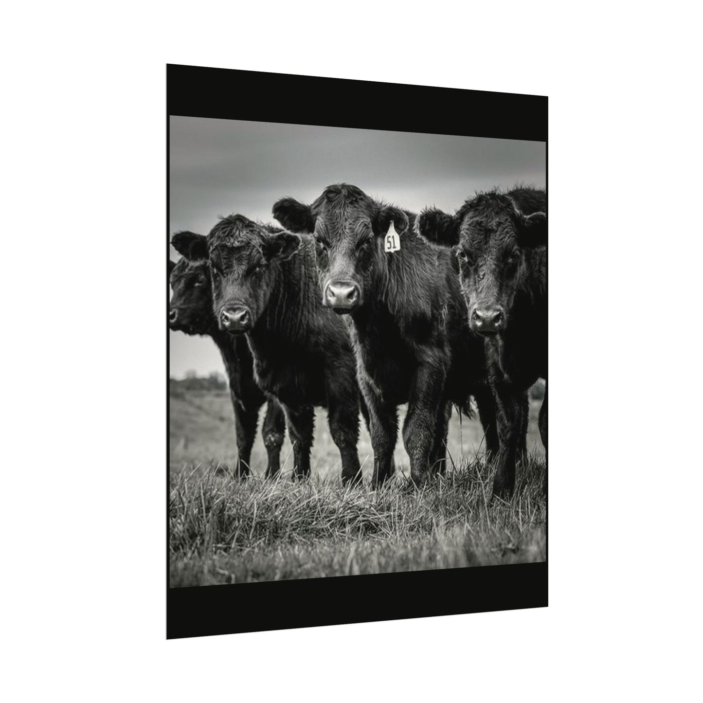 The Grazing Crew – Western Textured Watercolor Matte Posters