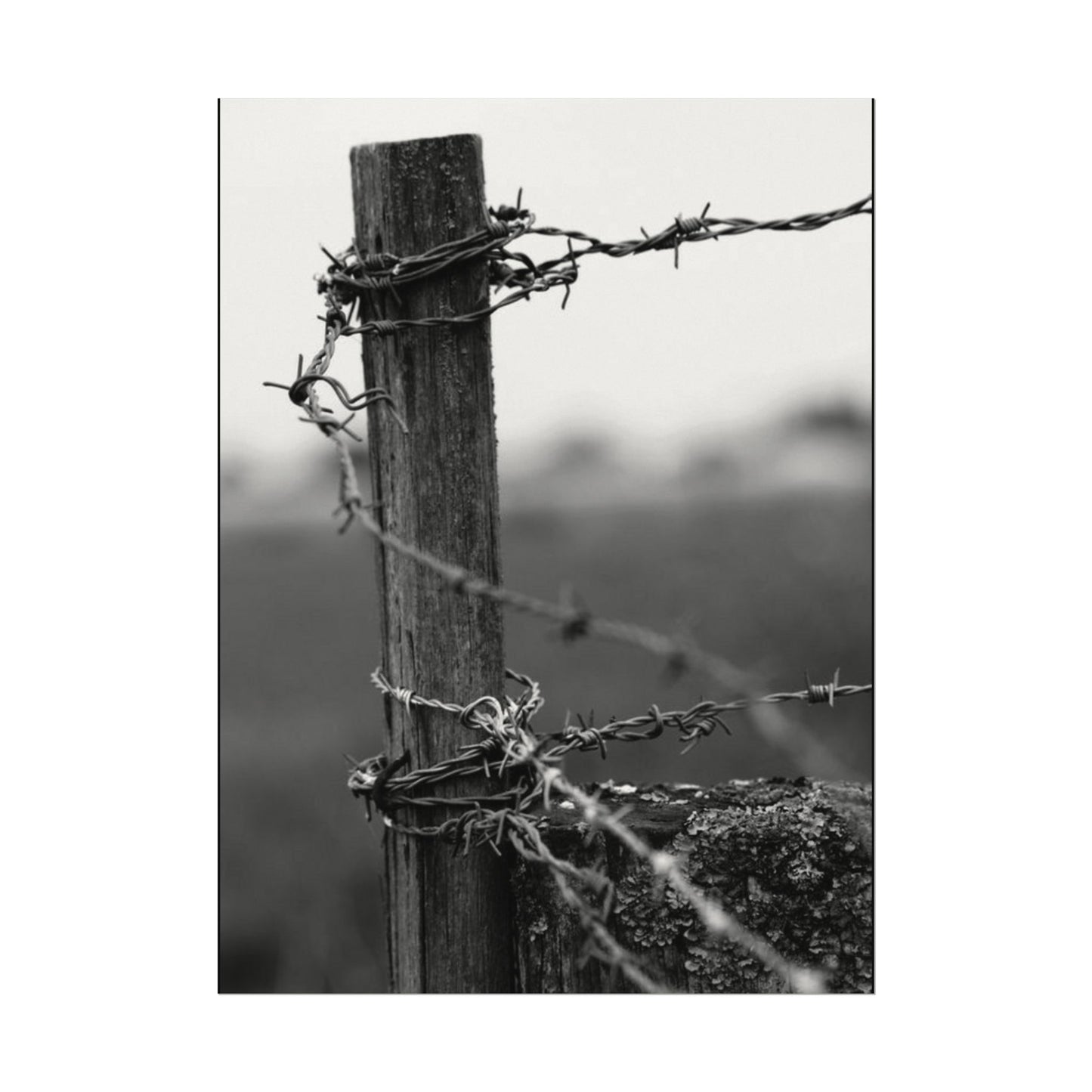 Tough As Nails – Western Textured Watercolor Matte Posters