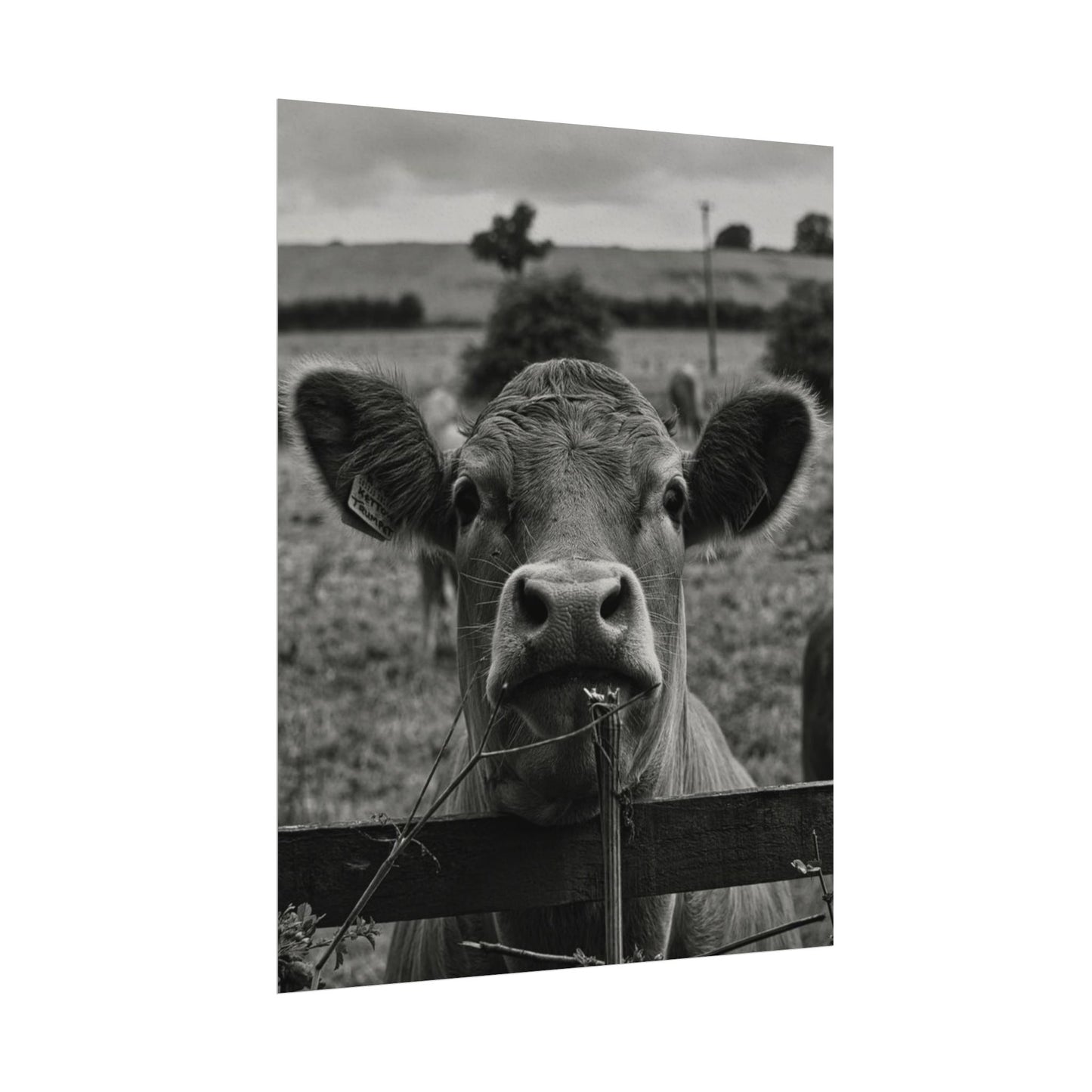 Rise & Shine – Western Textured Watercolor Matte Posters