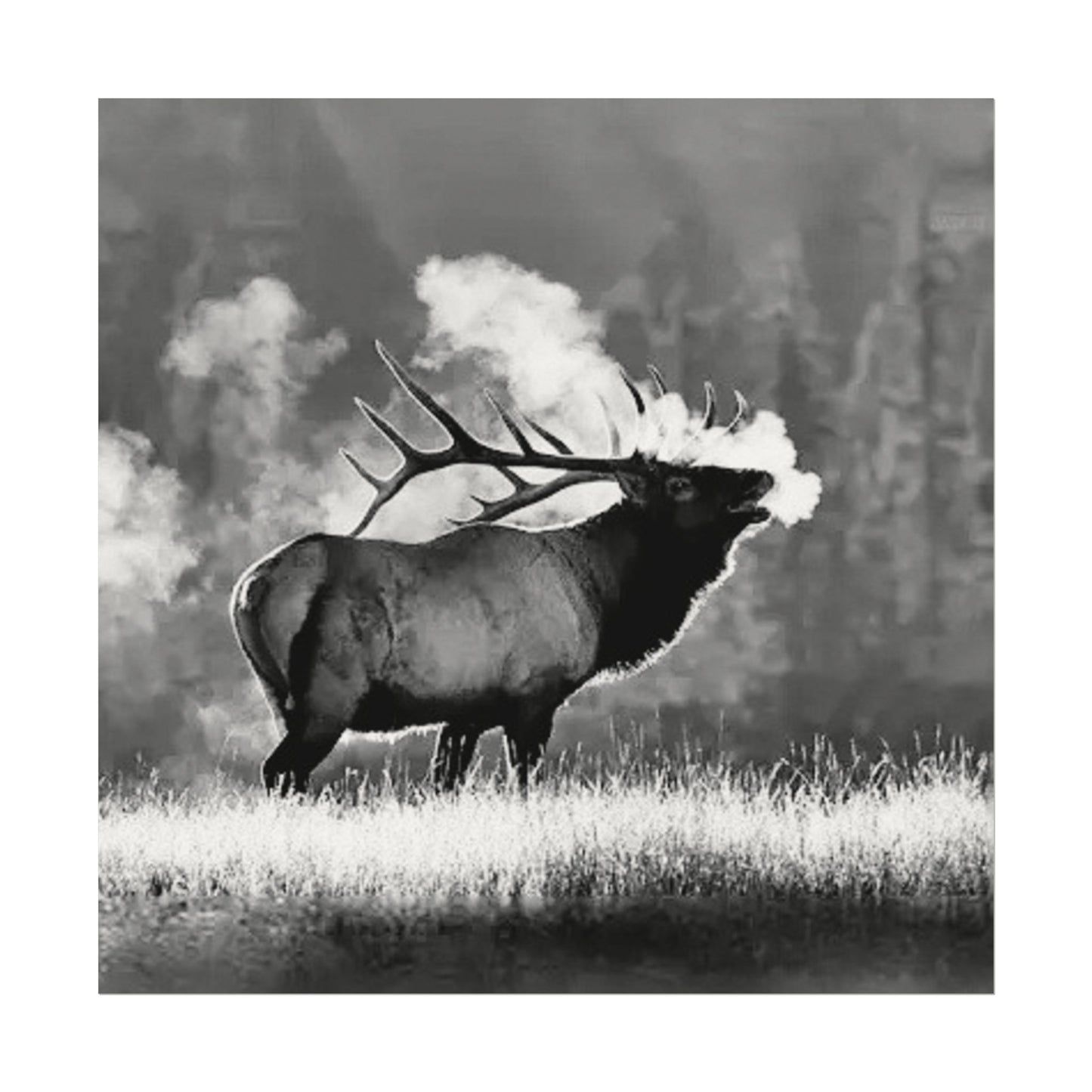 When Nature Calls– Western Textured Watercolor Matte Posters