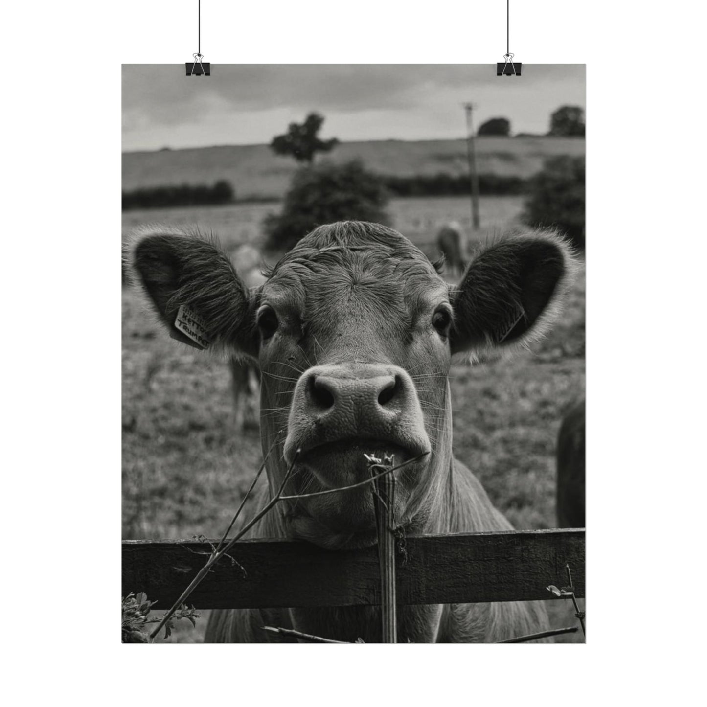 Rise & Shine – Western Textured Watercolor Matte Posters