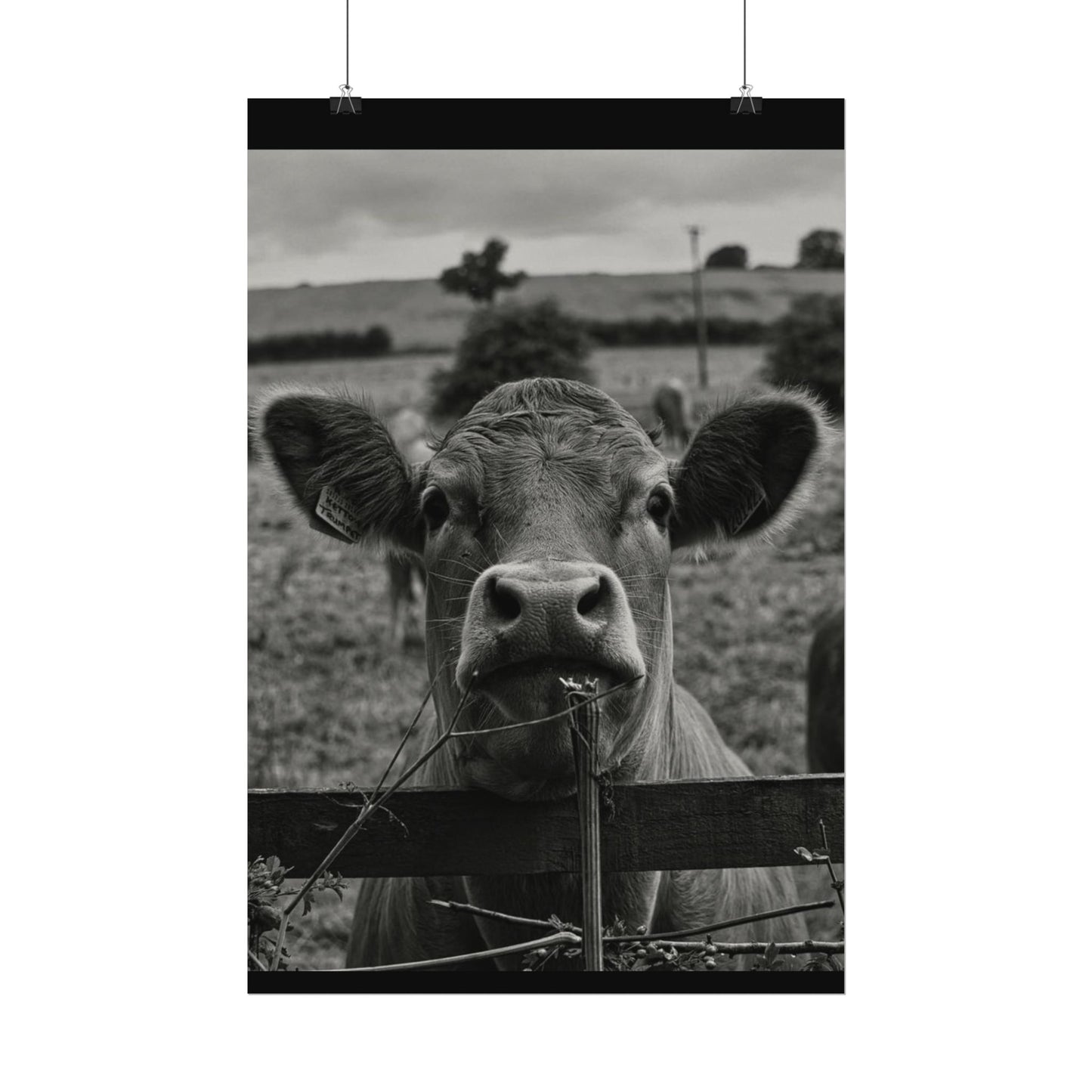 Rise & Shine – Western Textured Watercolor Matte Posters