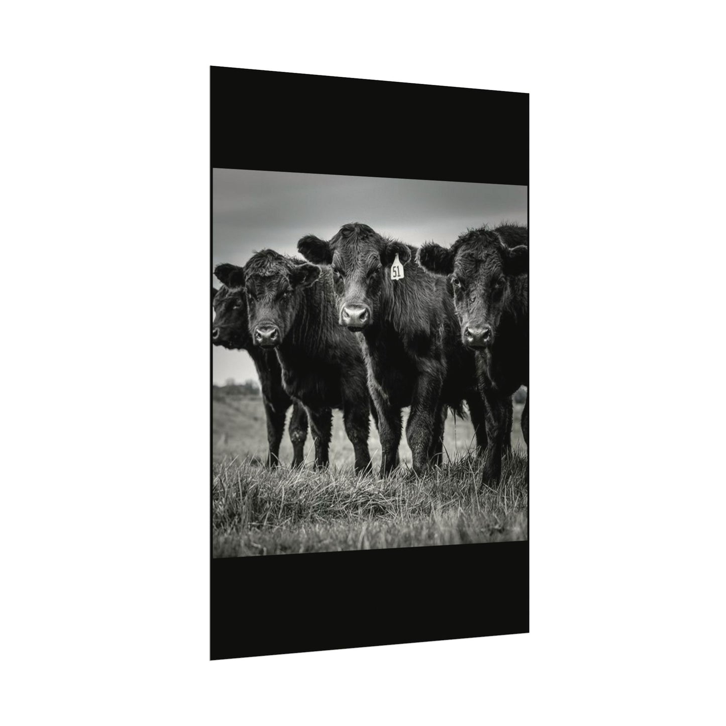 The Grazing Crew – Western Textured Watercolor Matte Posters