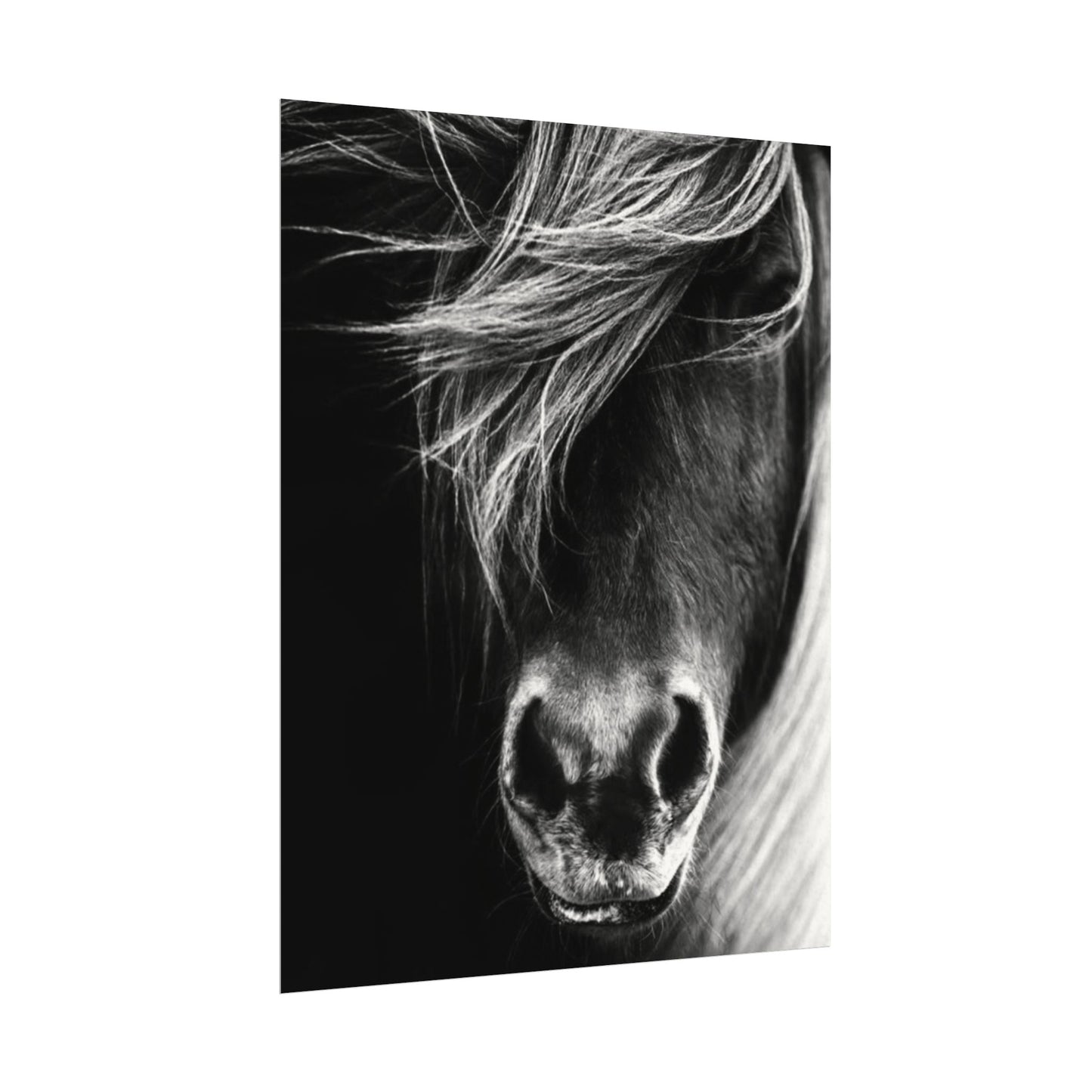 Wild Winds – Western Textured Watercolor Matte Posters