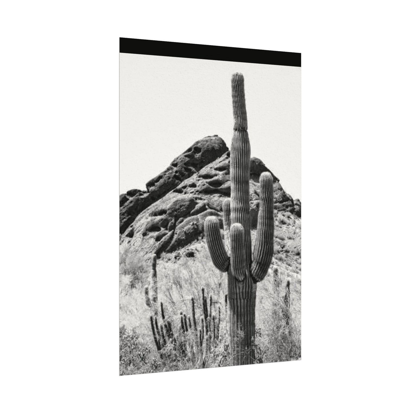 Reach For The Sky – Western Textured Watercolor Matte Posters