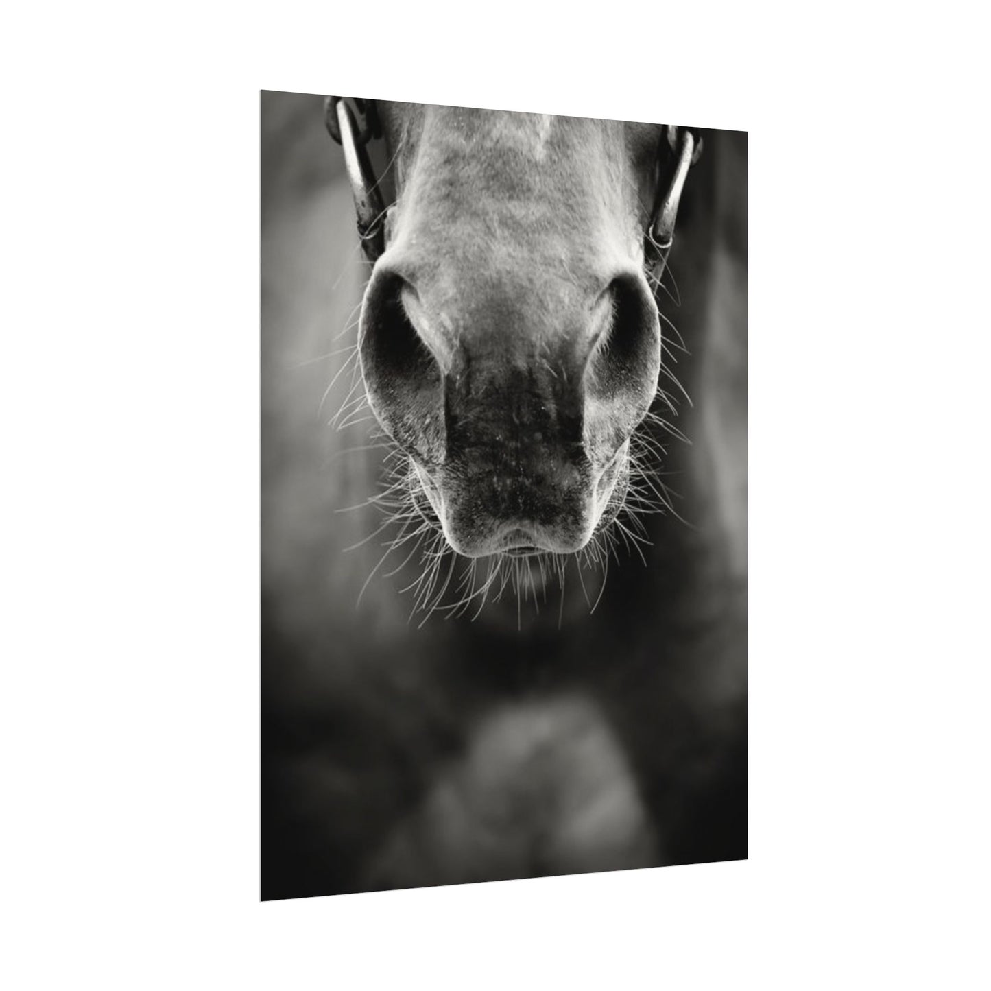 Be Patient Be Still – Western Textured Watercolor Matte Posters