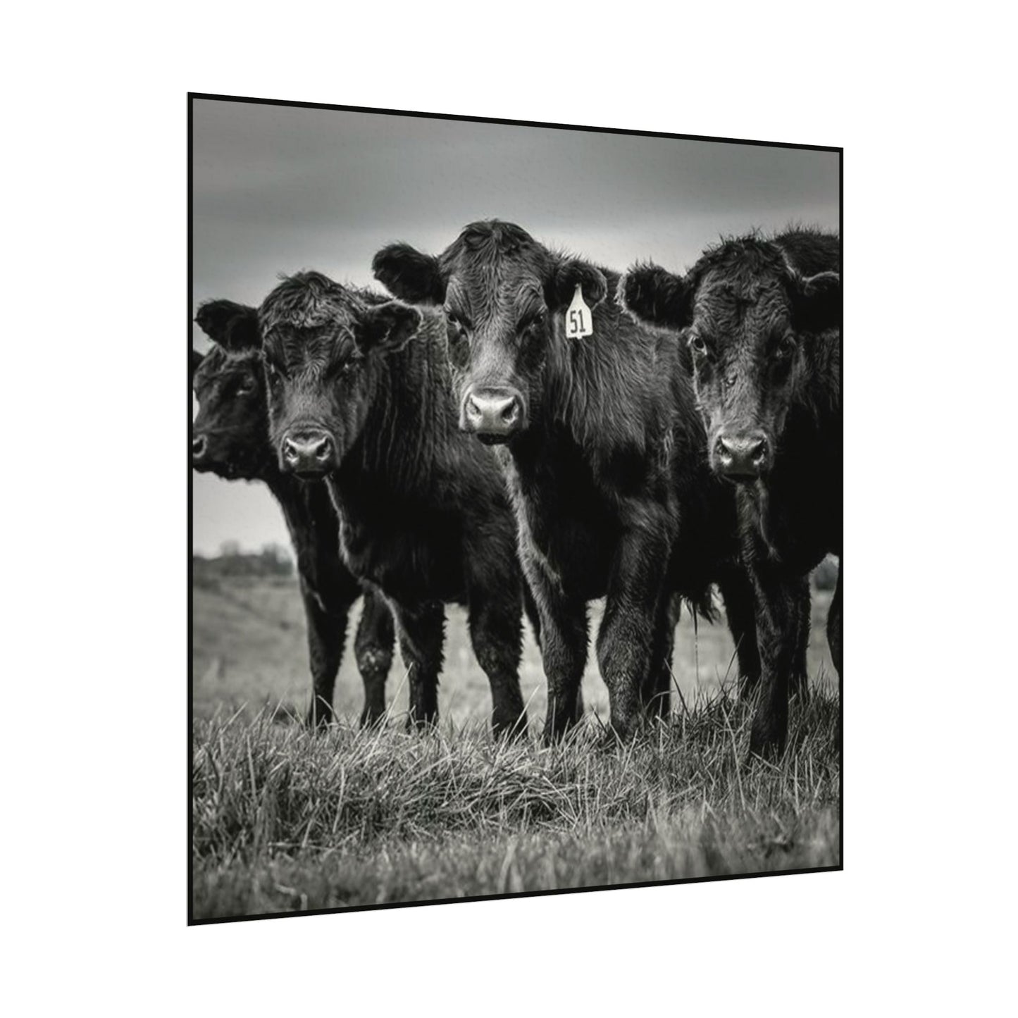 The Grazing Crew – Western Textured Watercolor Matte Posters