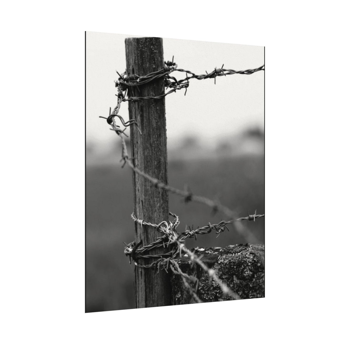 Tough As Nails – Western Textured Watercolor Matte Posters