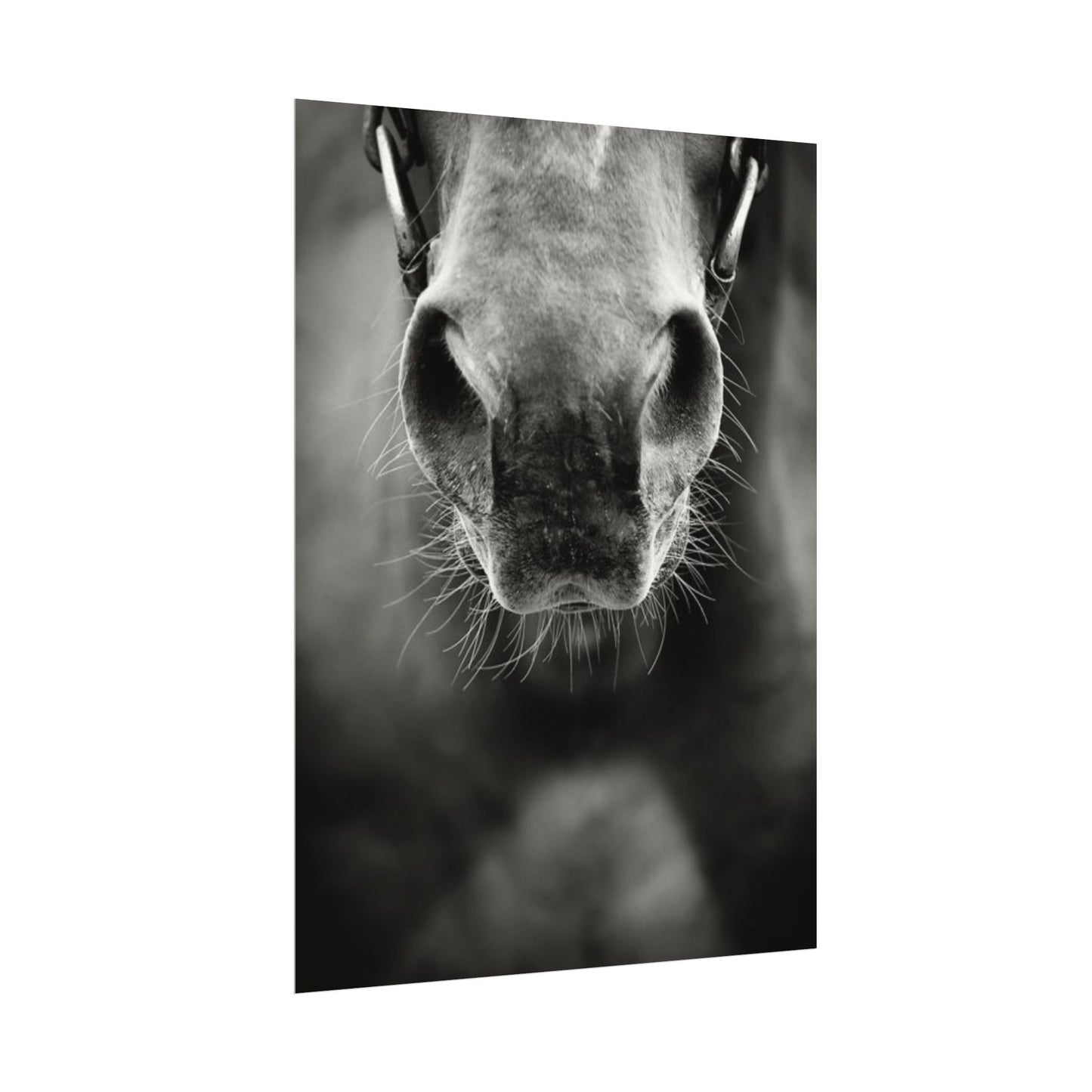 Be Patient Be Still – Western Textured Watercolor Matte Posters