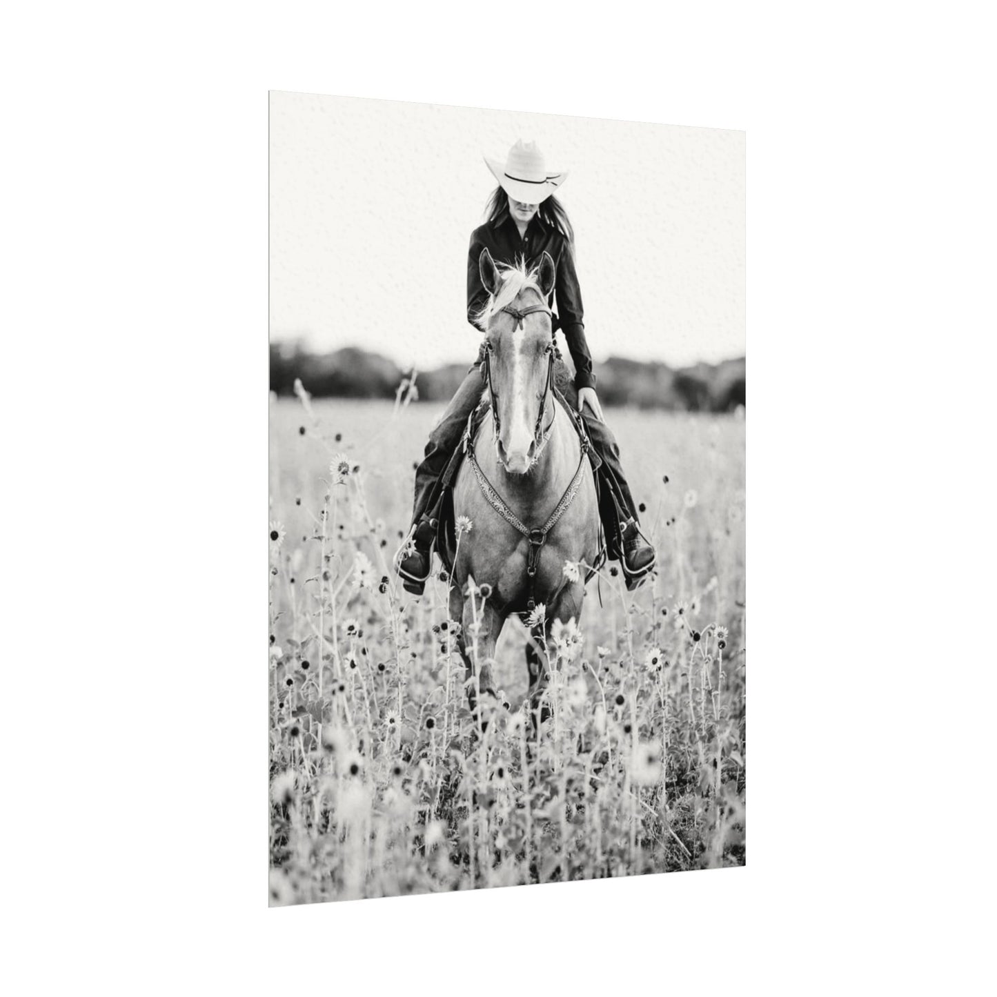 Summer Fields – Western Textured Watercolor Matte Posters