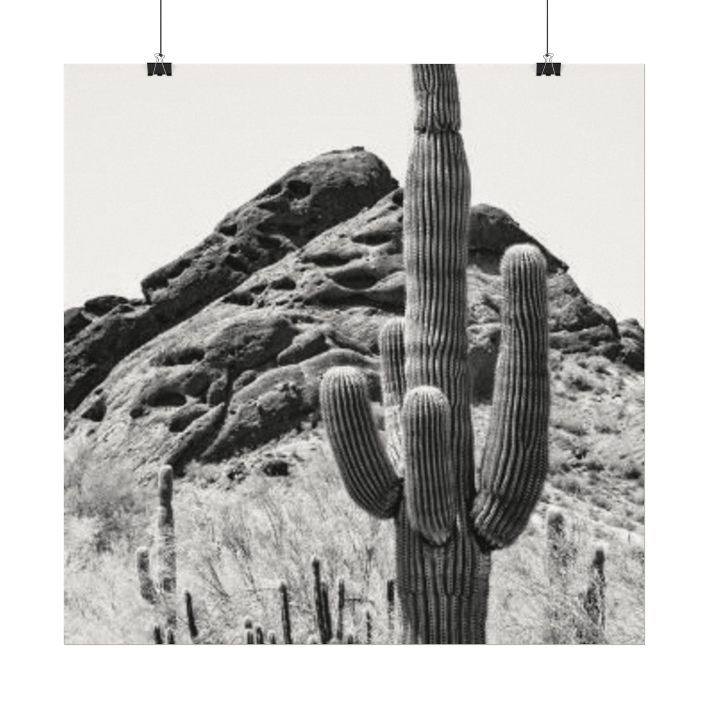 Reach For The Sky – Western Textured Watercolor Matte Posters