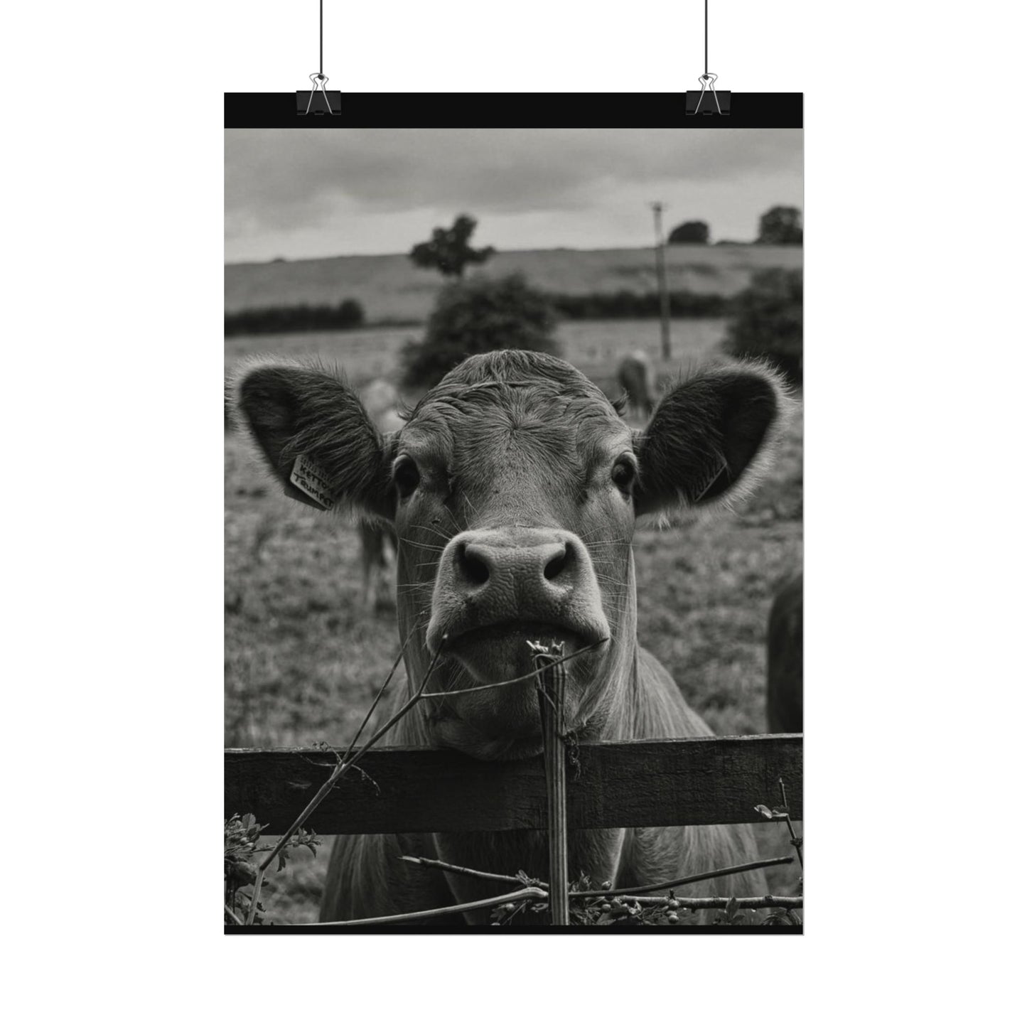 Rise & Shine – Western Textured Watercolor Matte Posters