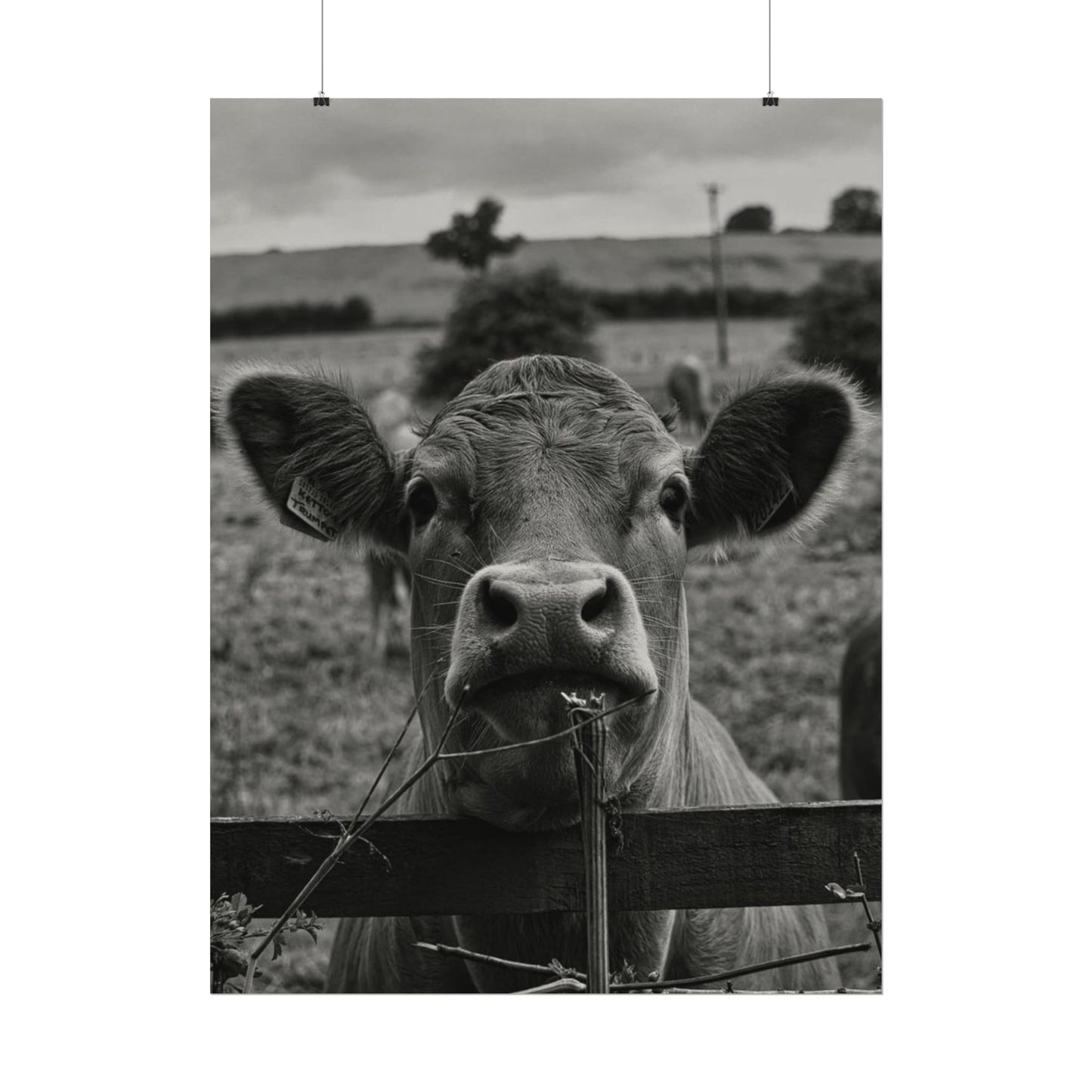 Rise & Shine – Western Textured Watercolor Matte Posters