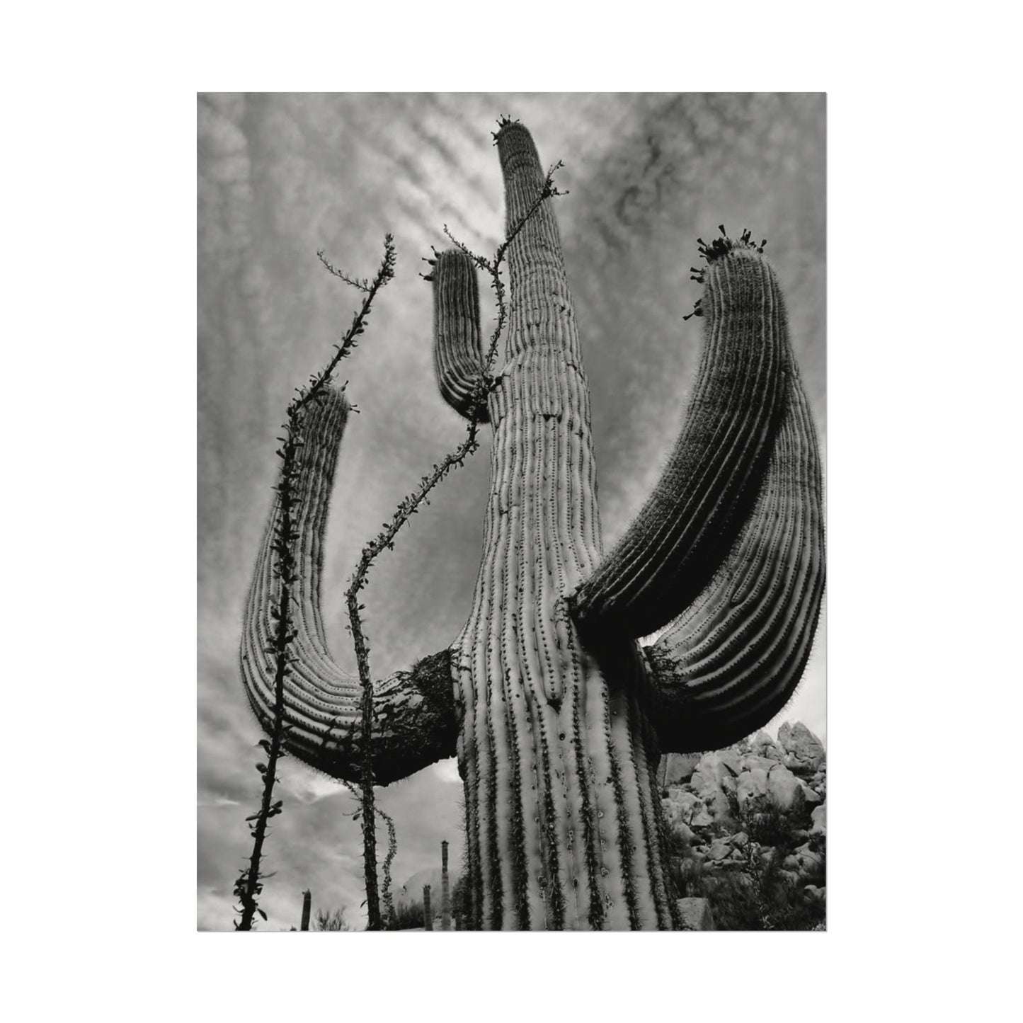 Desert Heights – Western Textured Watercolor Matte Posters