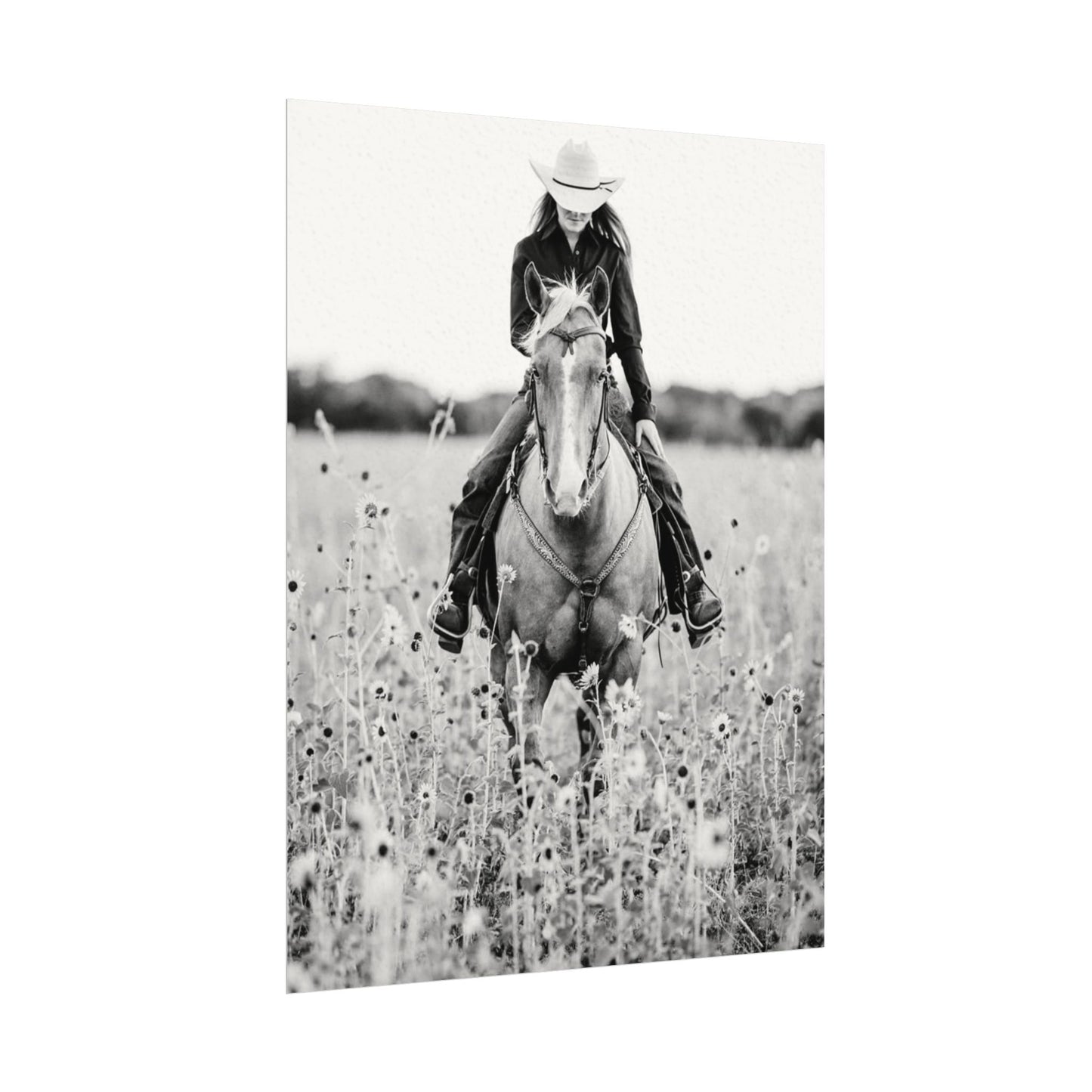 Summer Fields – Western Textured Watercolor Matte Posters