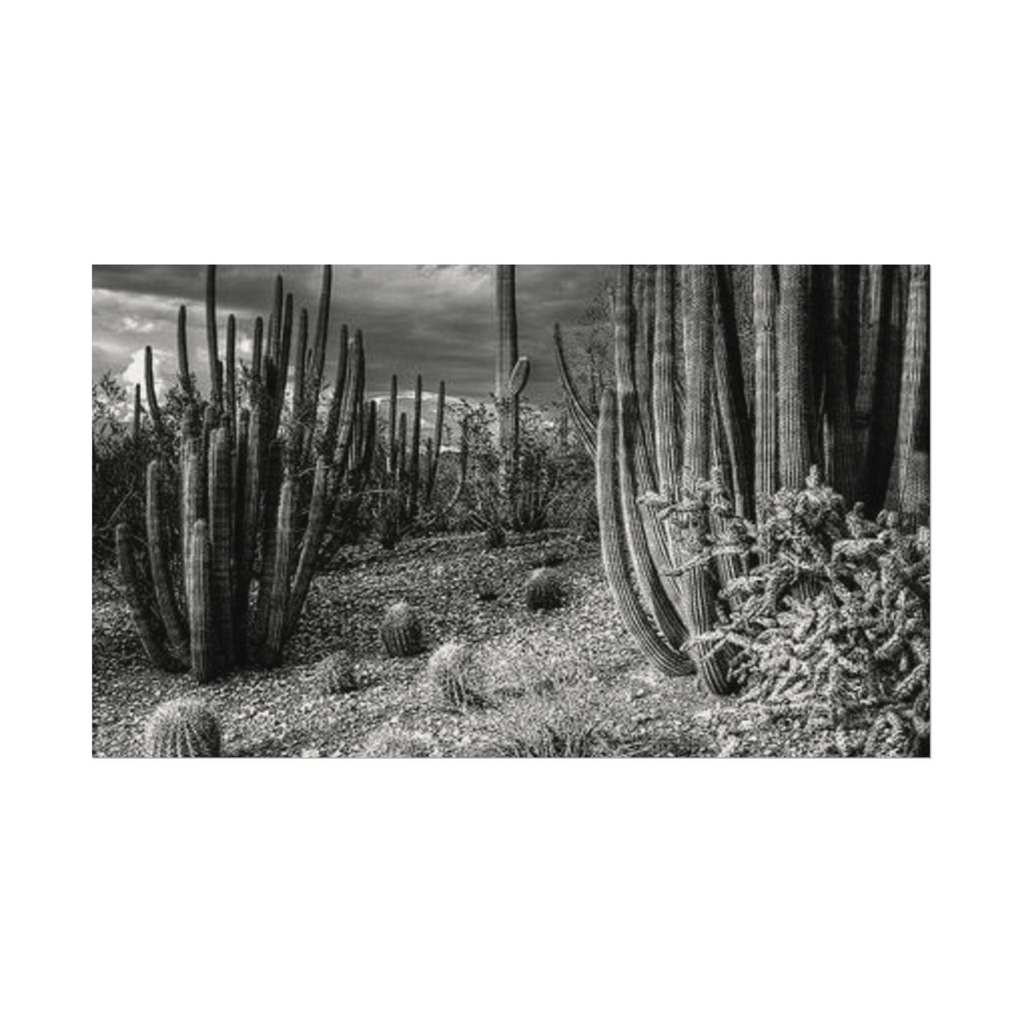 Desert Wastelands – Western Textured Watercolor Matte Posters