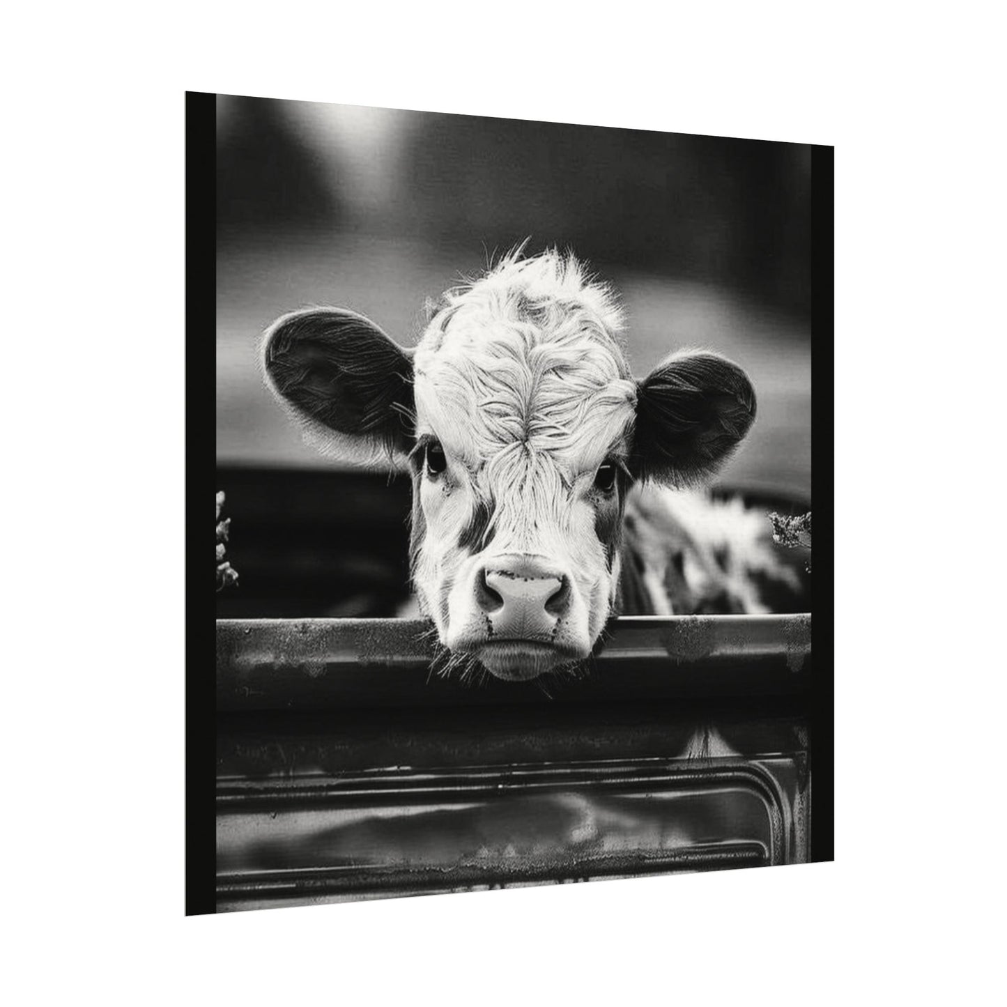 Back Seat Bovine – Western Textured Watercolor Matte Posters