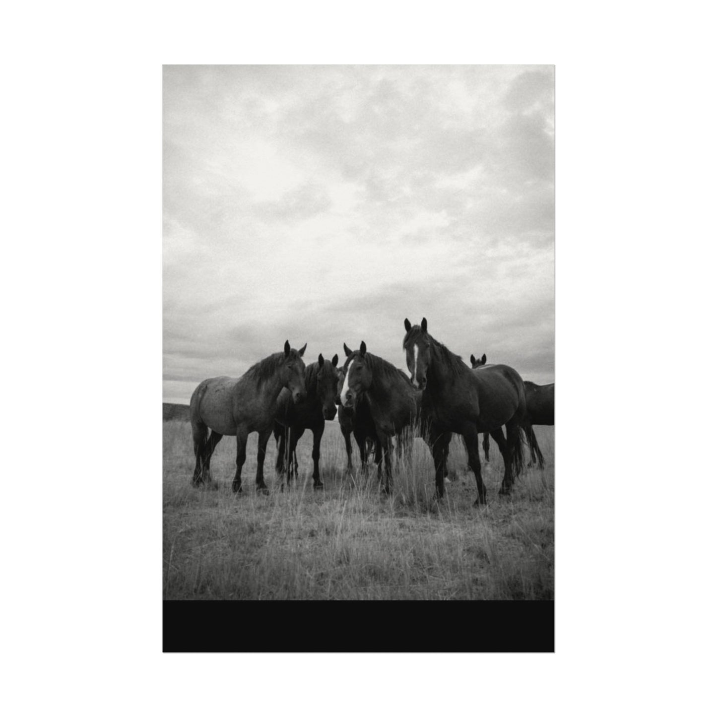 Unity In Numbers – Western Textured Watercolor Matte Posters