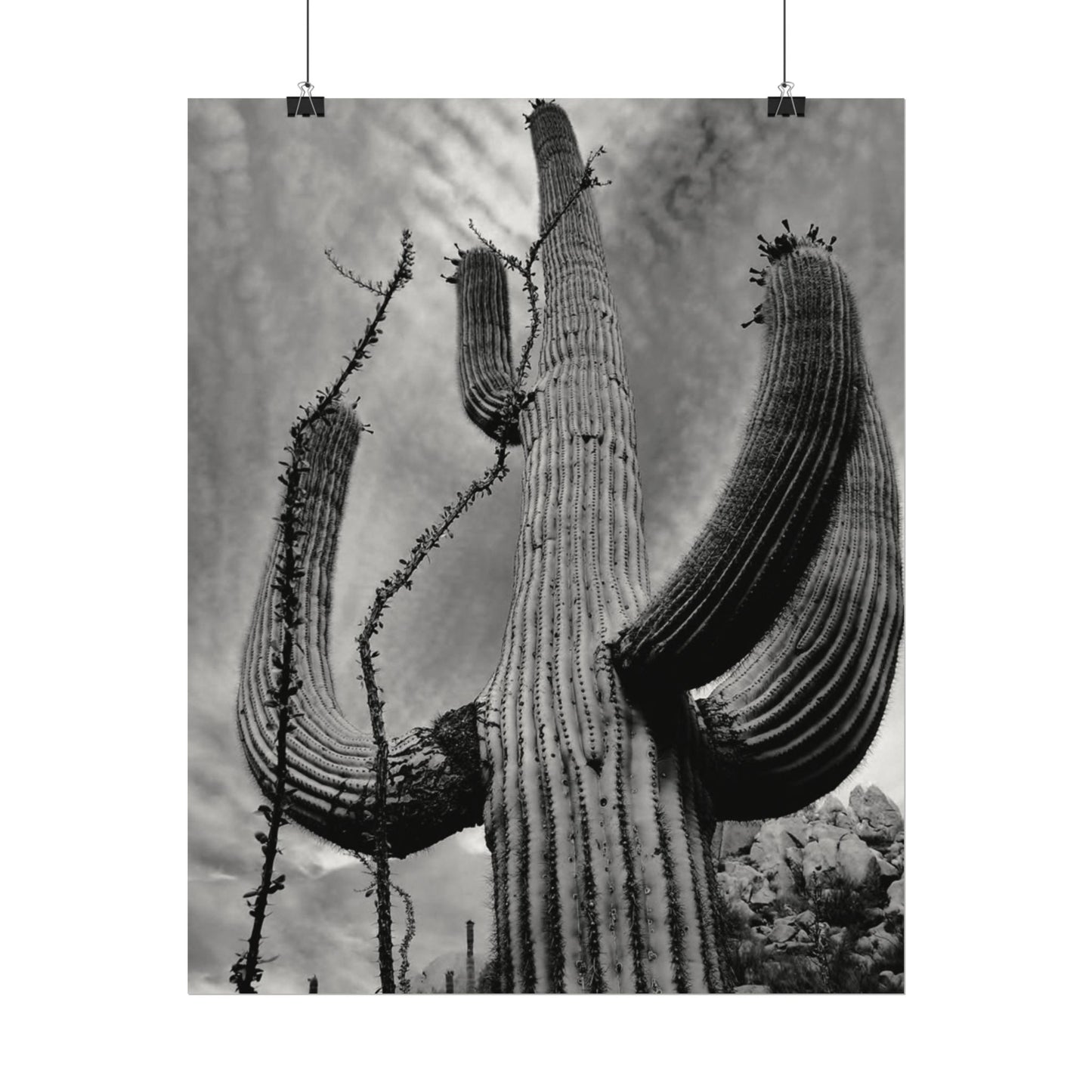 Desert Heights – Western Textured Watercolor Matte Posters