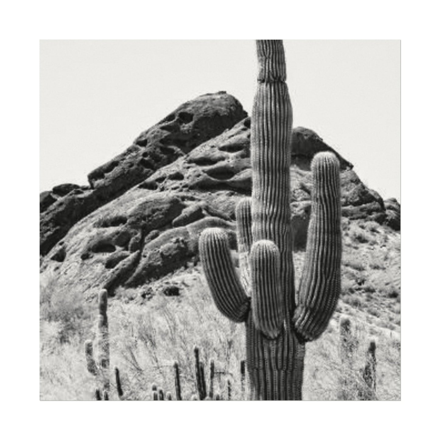 Reach For The Sky – Western Textured Watercolor Matte Posters