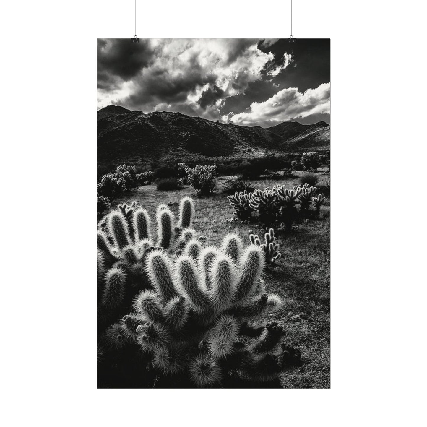 Western Desert Textured Watercolor Matte Posters