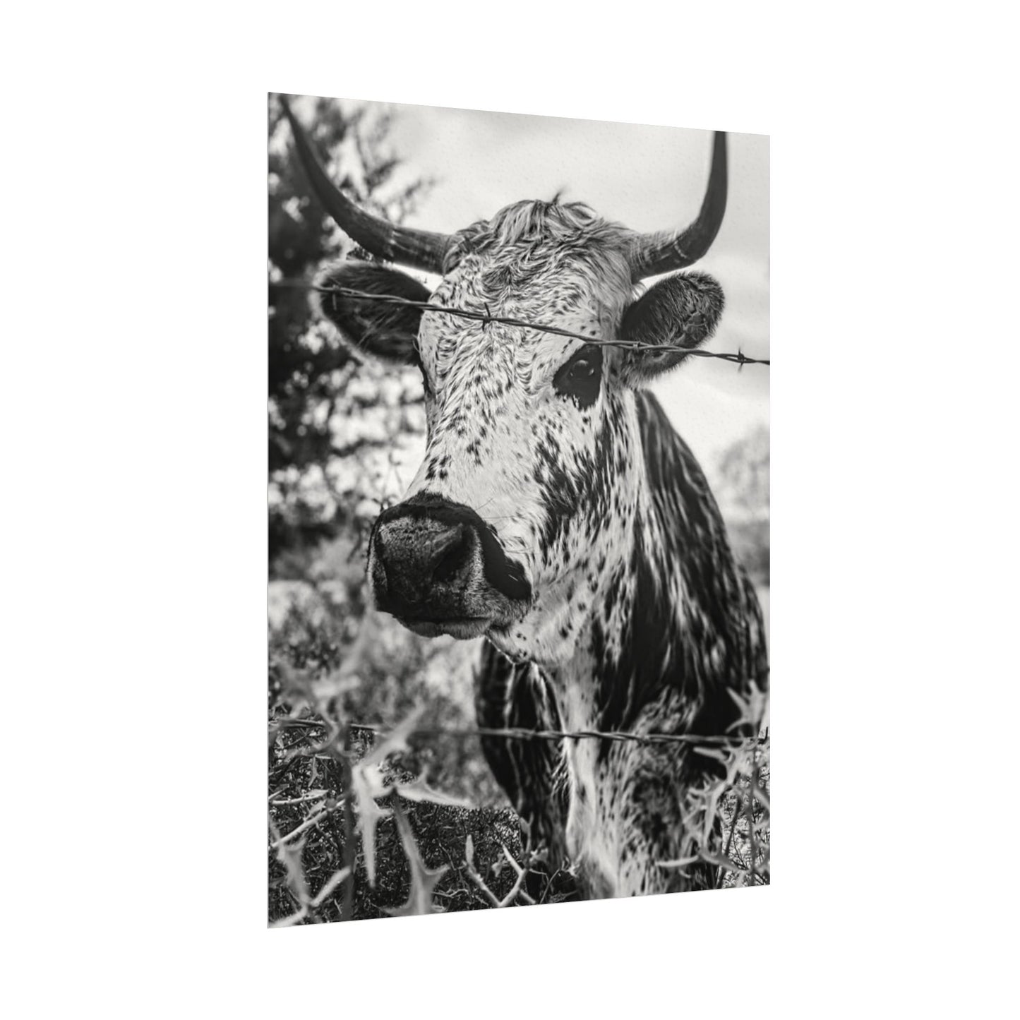 Barbed & Brave Western Textured Watercolor Matte Posters