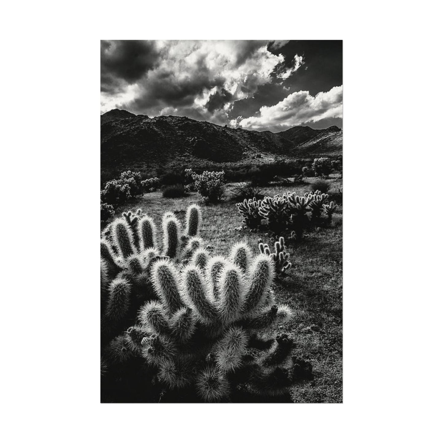 Western Desert Textured Watercolor Matte Posters