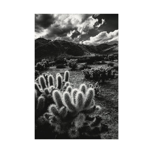 Western Desert Textured Watercolor Matte Posters