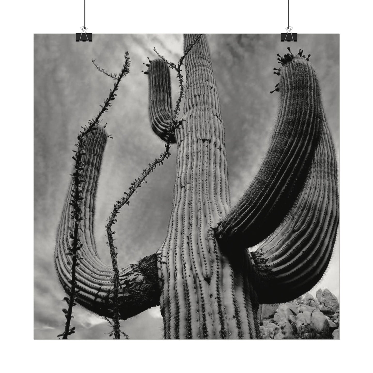 Desert Heights – Western Textured Watercolor Matte Posters