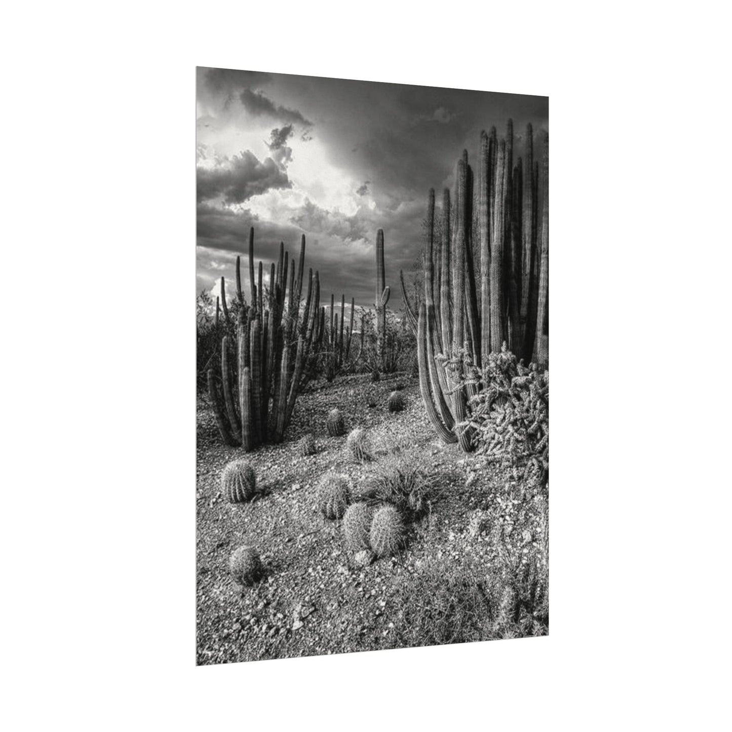 Desert Wastelands – Western Textured Watercolor Matte Posters