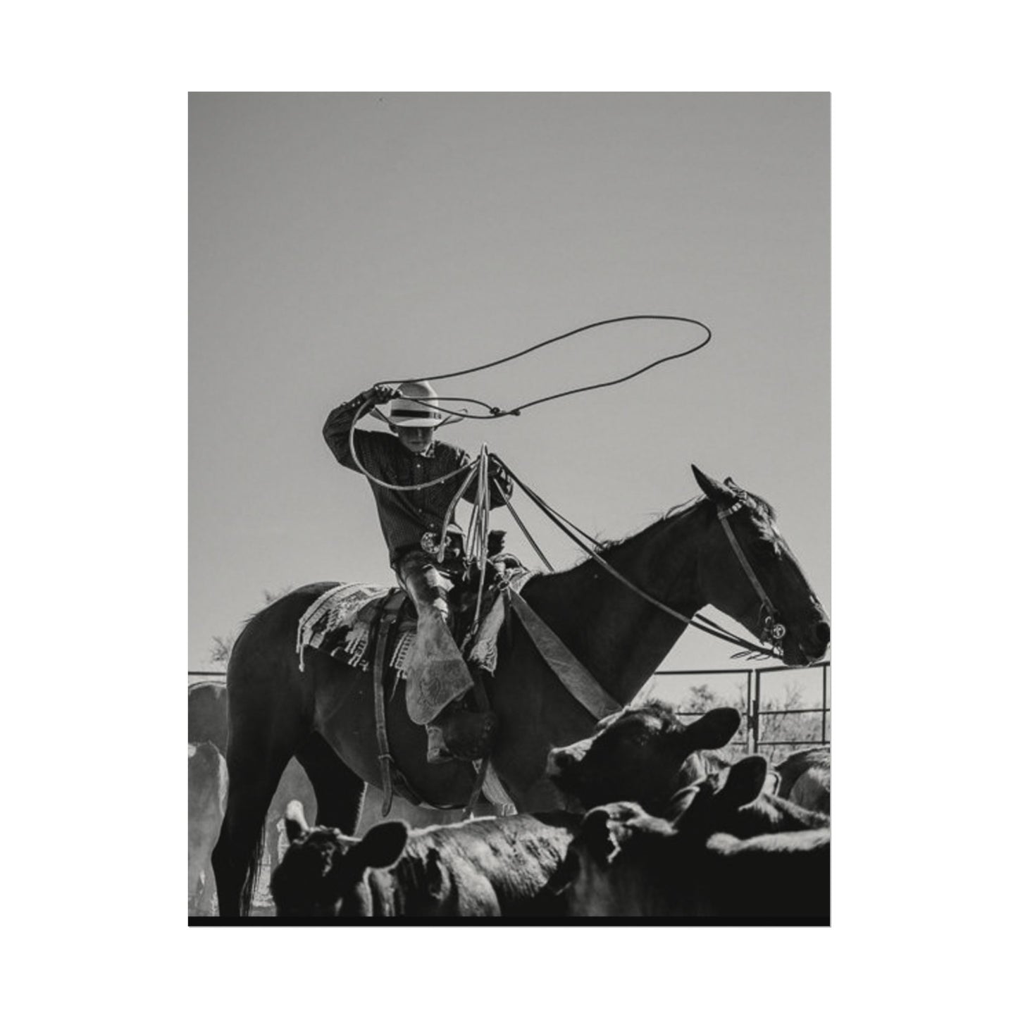 Cowboy Up – Western Textured Watercolor Matte Posters