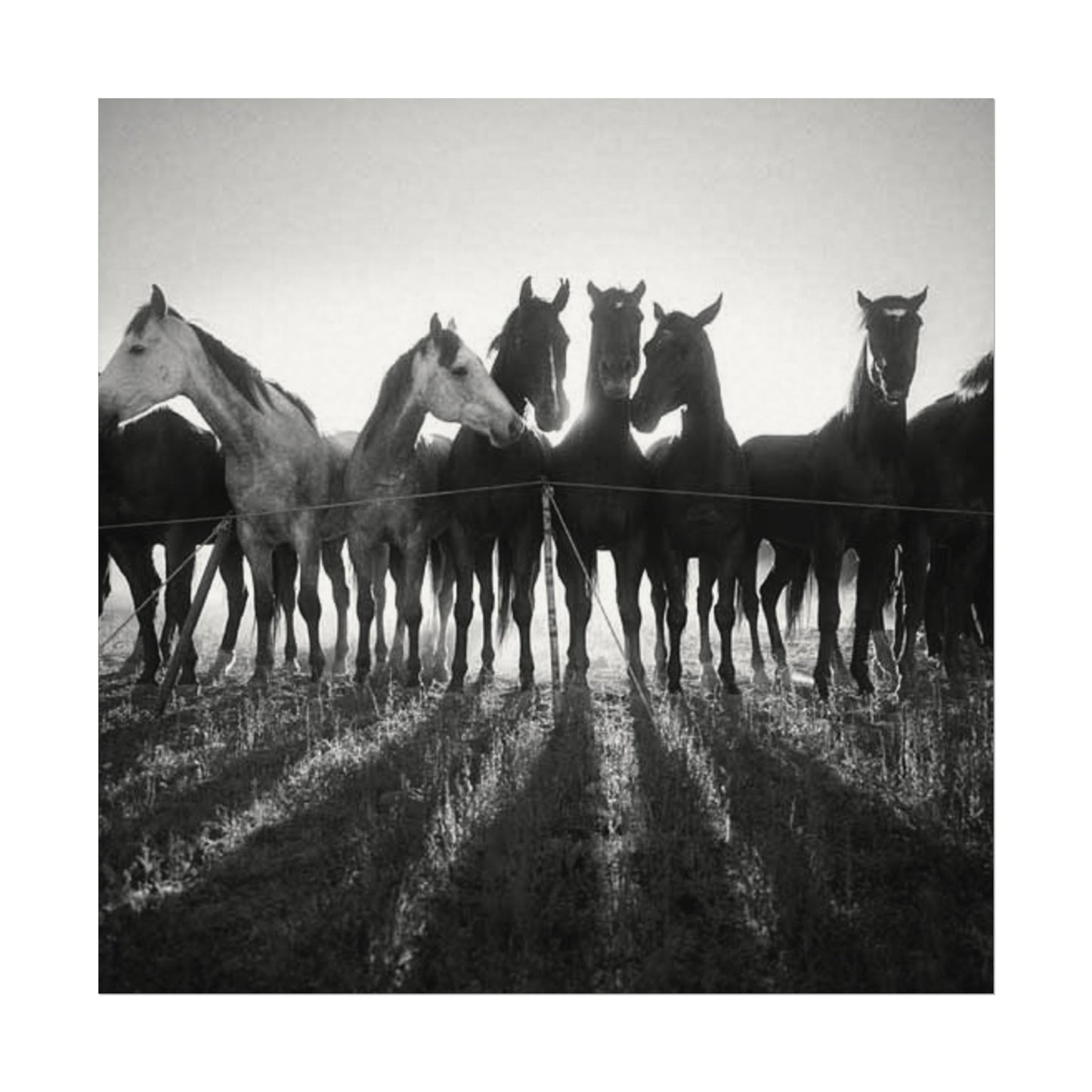 When Dawn Breaks – Western Textured Watercolor Matte Posters