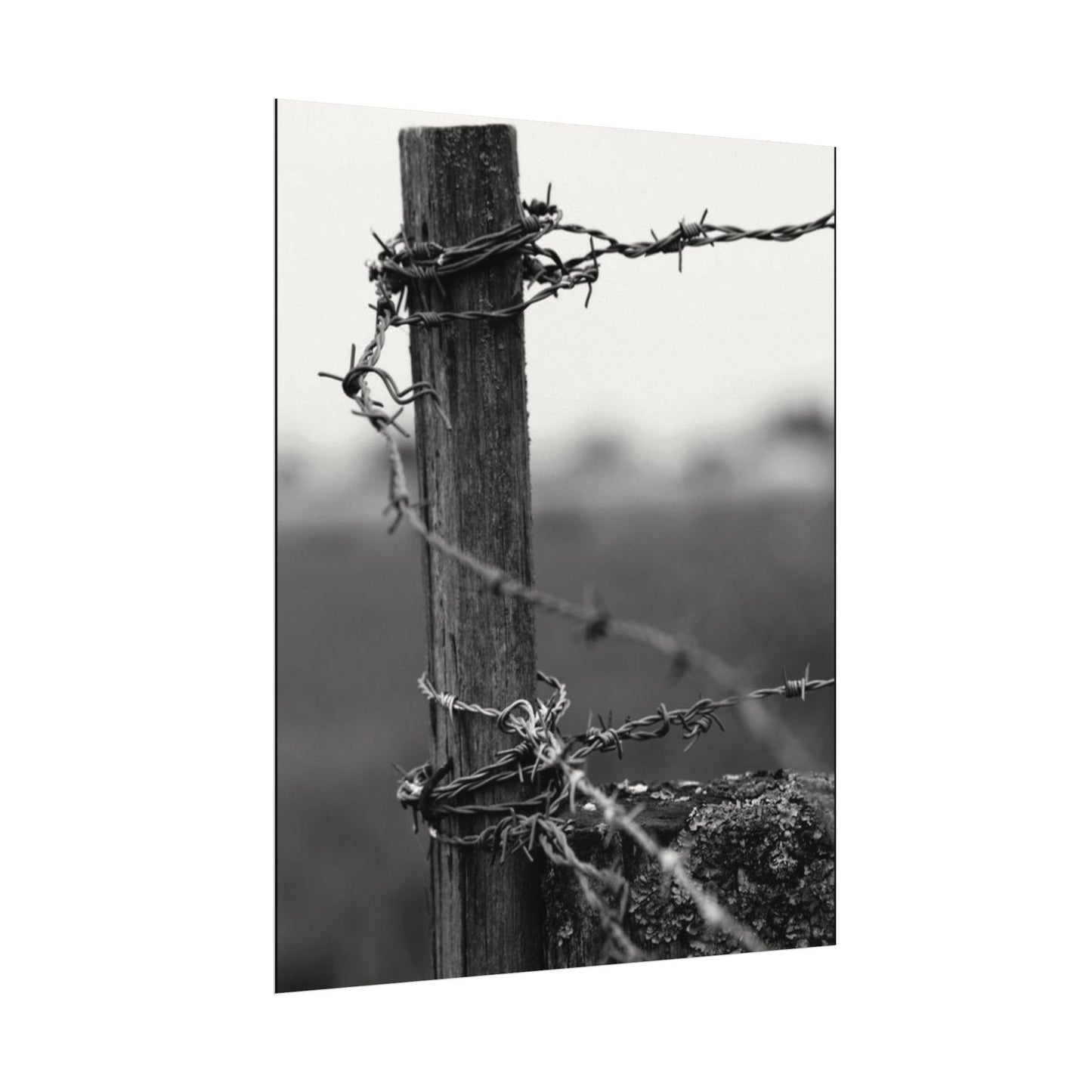 Tough As Nails – Western Textured Watercolor Matte Posters