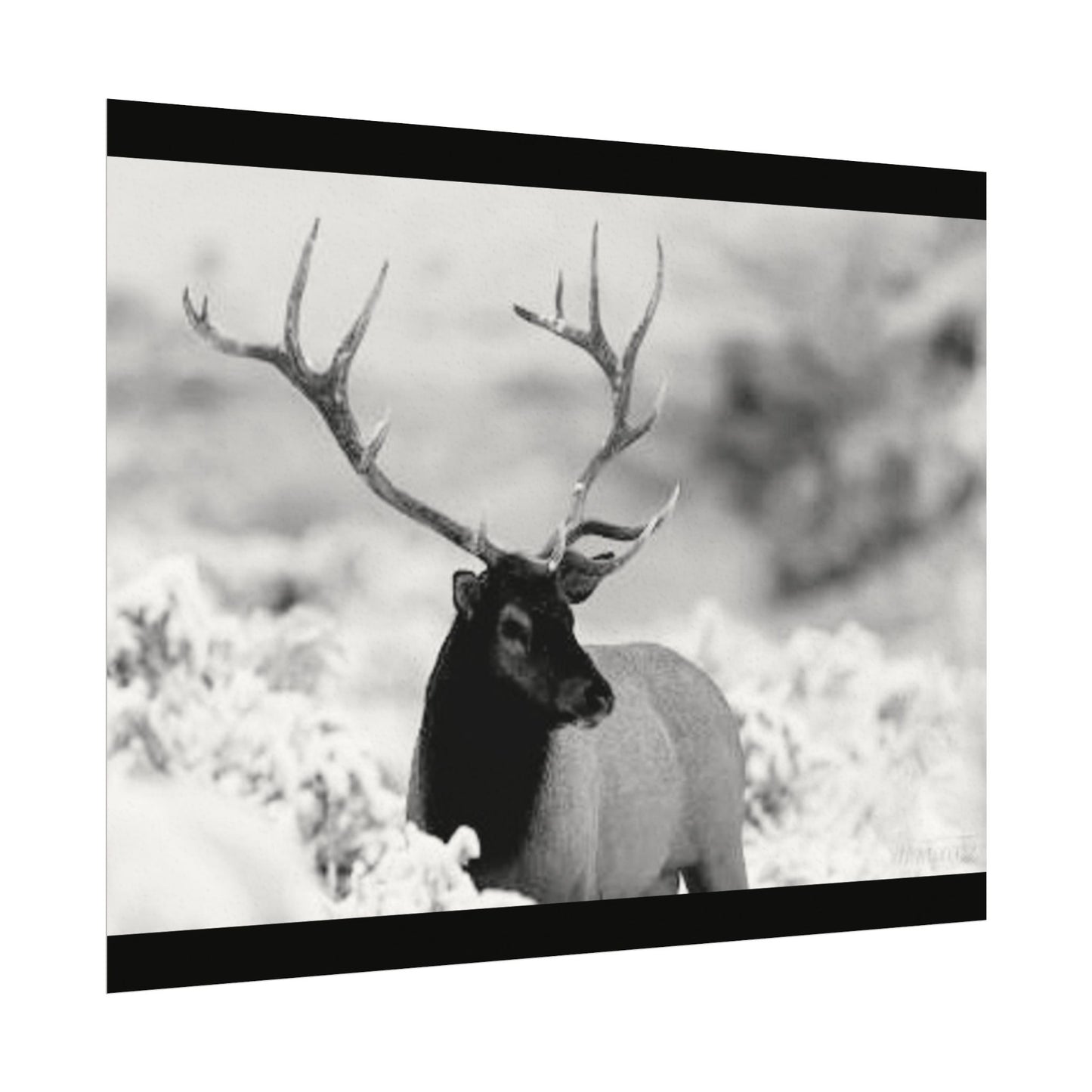 Majesty Of The North– Western Textured Watercolor Matte Posters