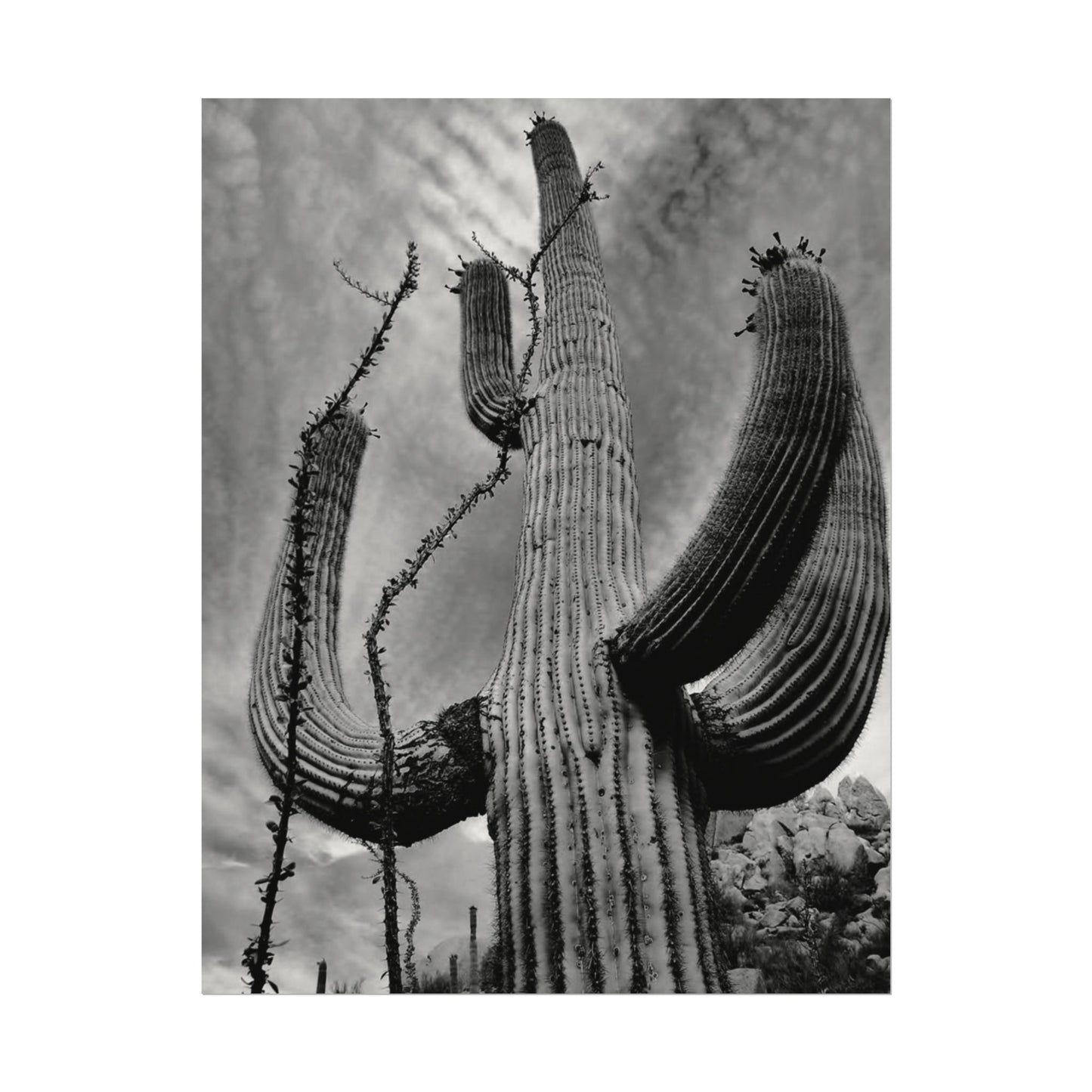 Desert Heights – Western Textured Watercolor Matte Posters