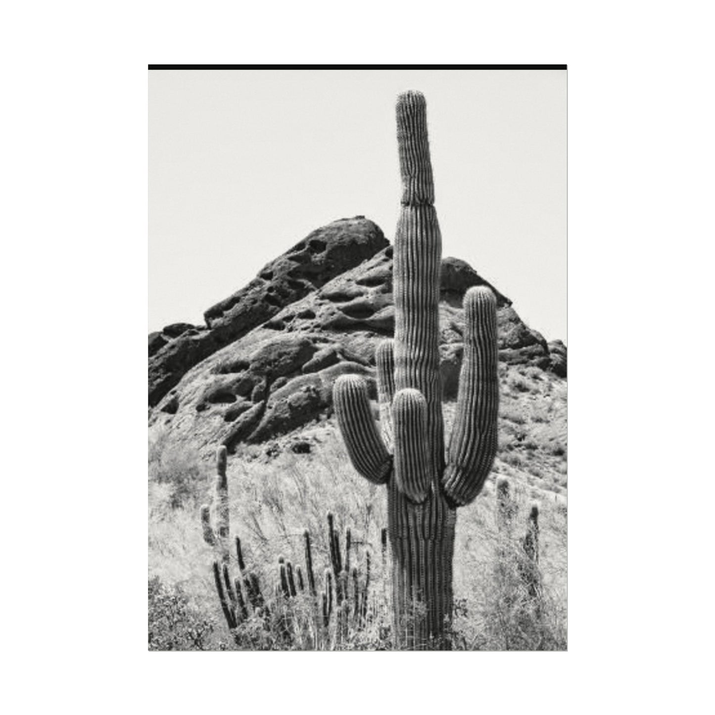 Reach For The Sky – Western Textured Watercolor Matte Posters