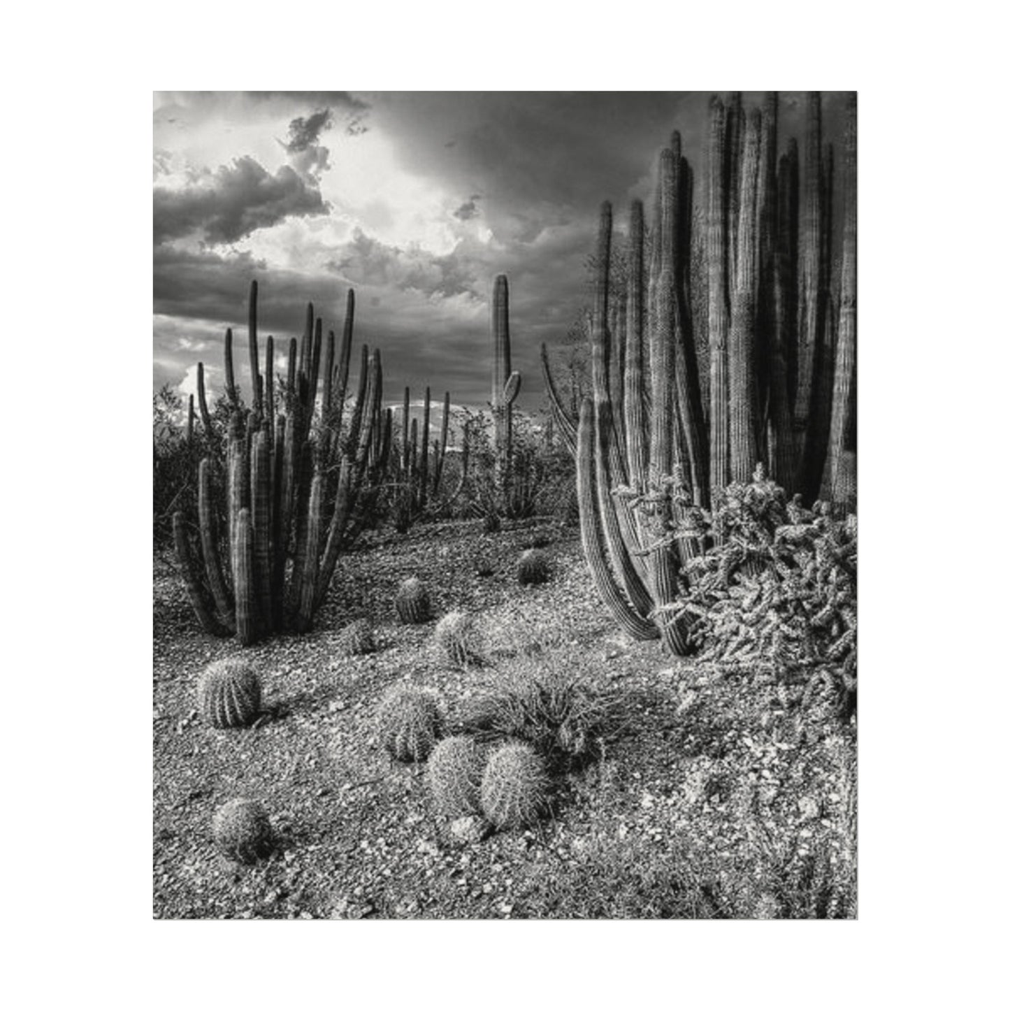 Desert Wastelands – Western Textured Watercolor Matte Posters