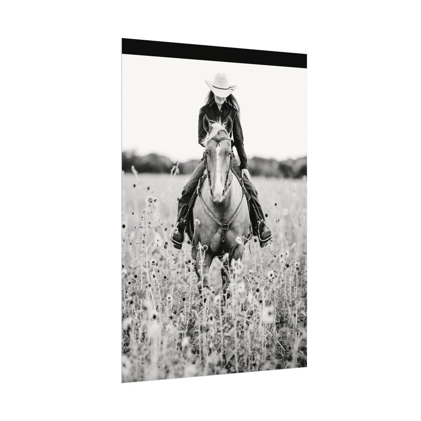 Summer Fields – Western Textured Watercolor Matte Posters