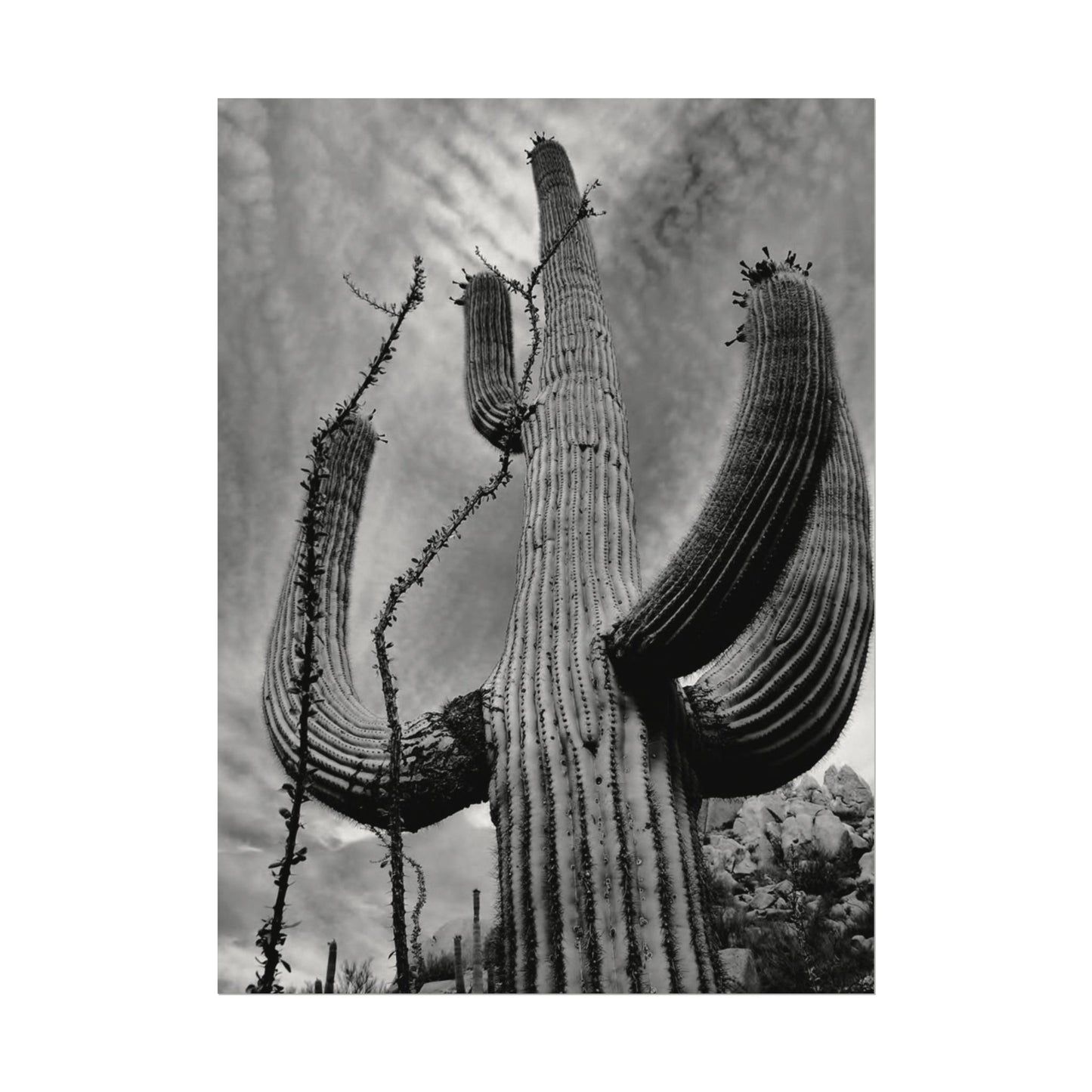 Desert Heights – Western Textured Watercolor Matte Posters