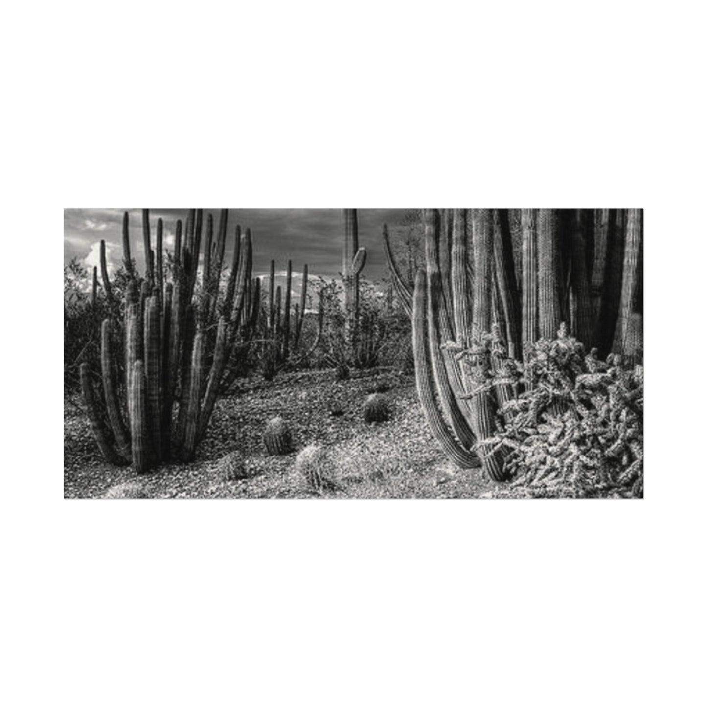 Desert Wastelands – Western Textured Watercolor Matte Posters