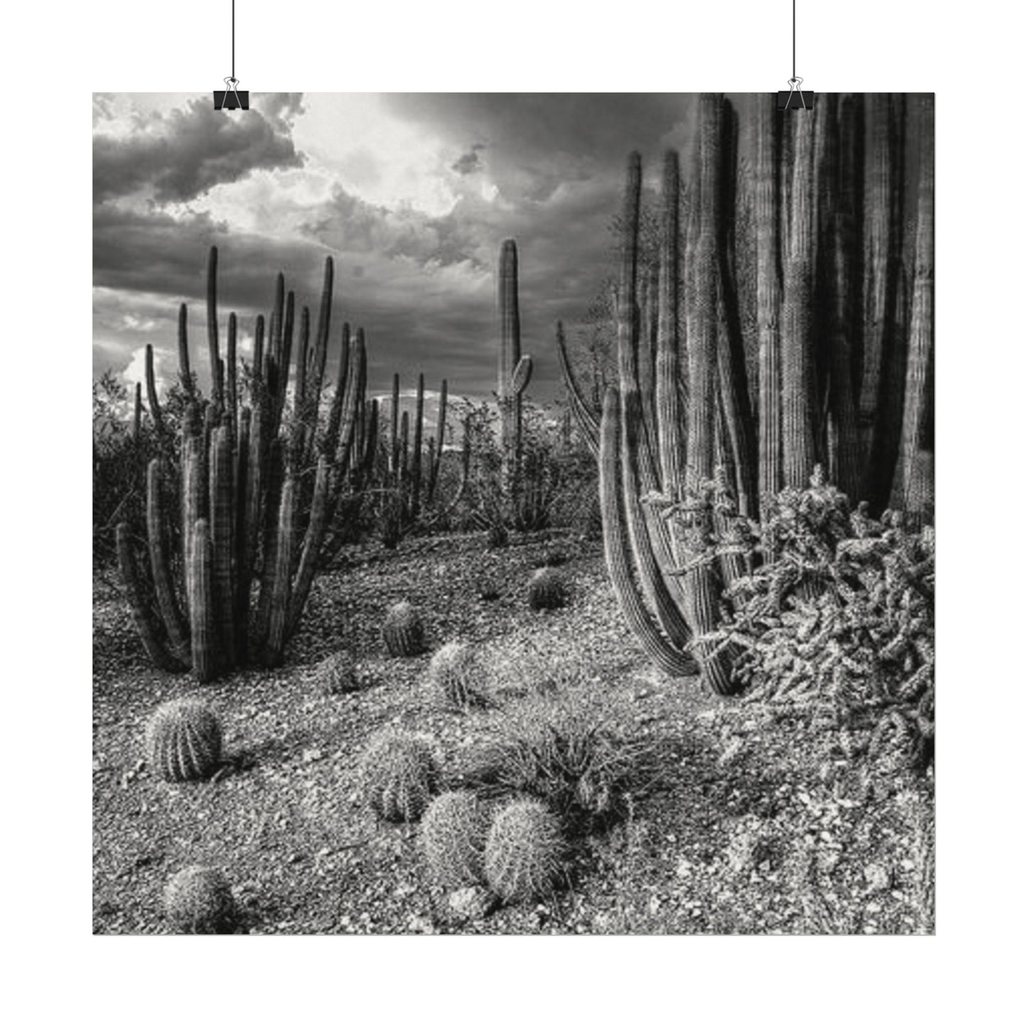 Desert Wastelands – Western Textured Watercolor Matte Posters