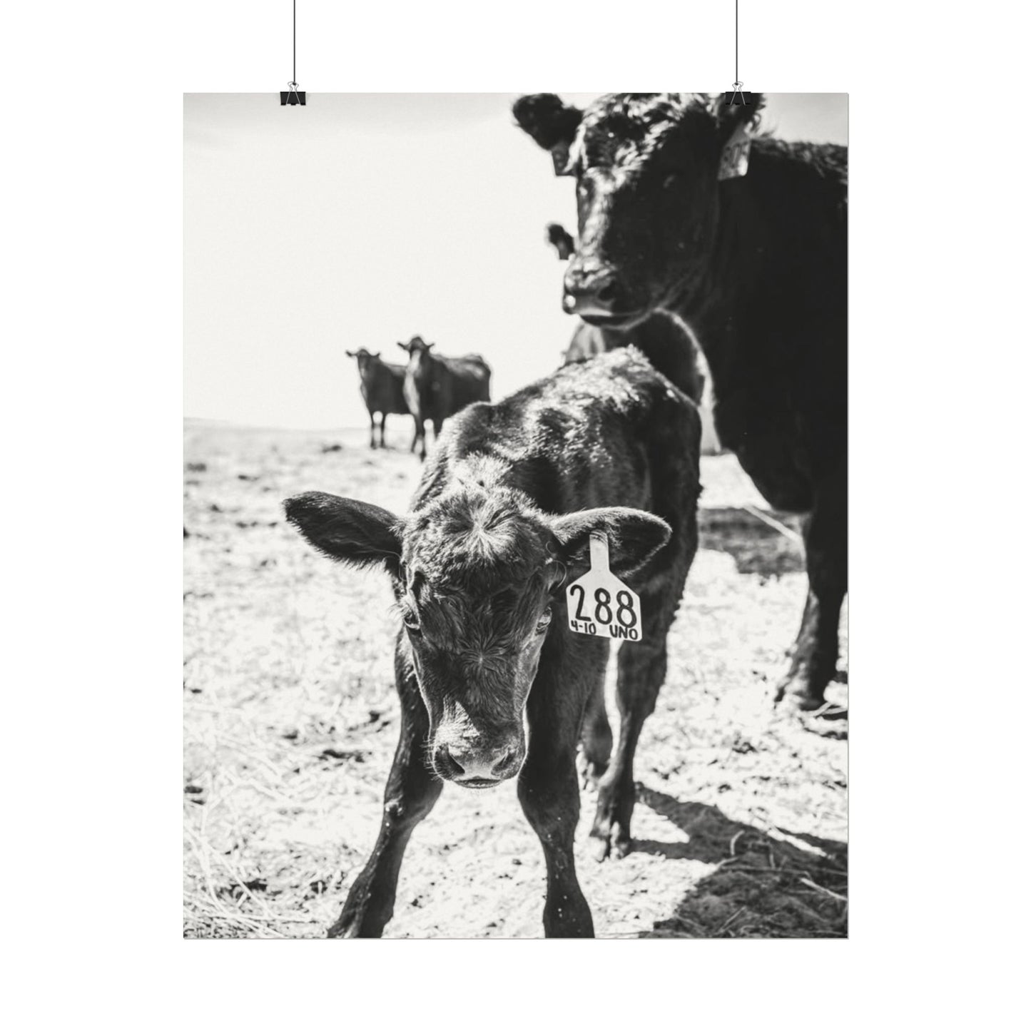 The Standing Legacy – Western Textured Watercolor Matte Posters