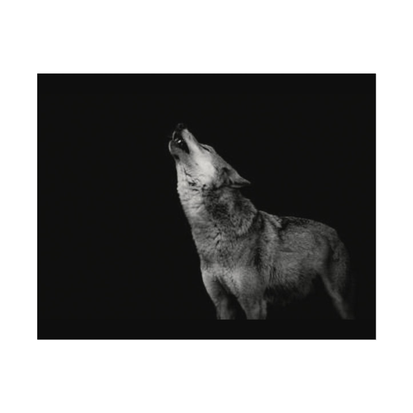 Howling At The Moon– Western Textured Watercolor Matte Posters