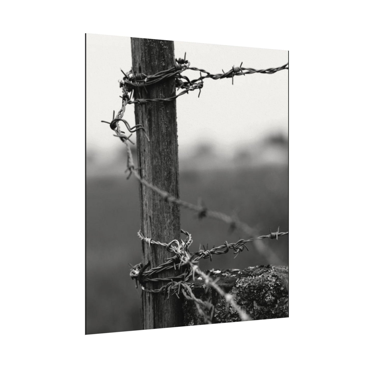 Tough As Nails – Western Textured Watercolor Matte Posters