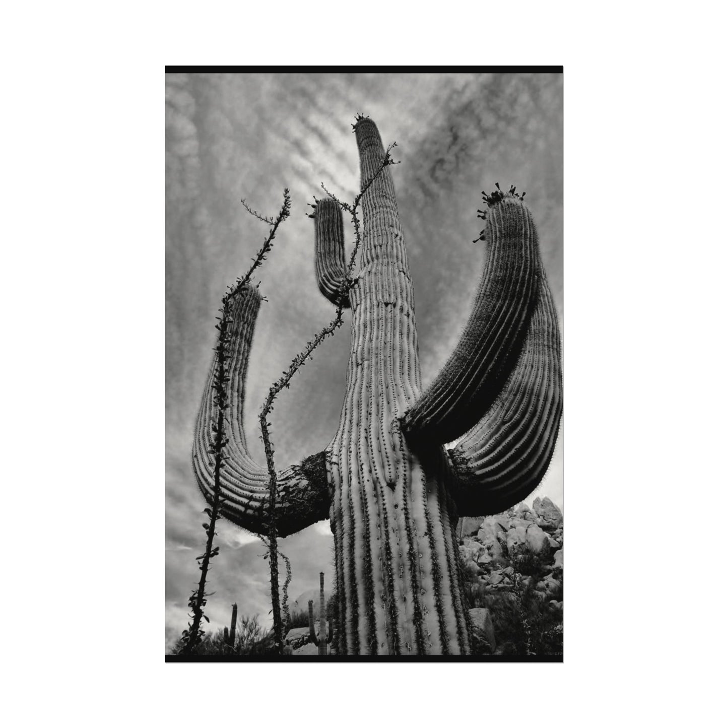 Desert Heights – Western Textured Watercolor Matte Posters